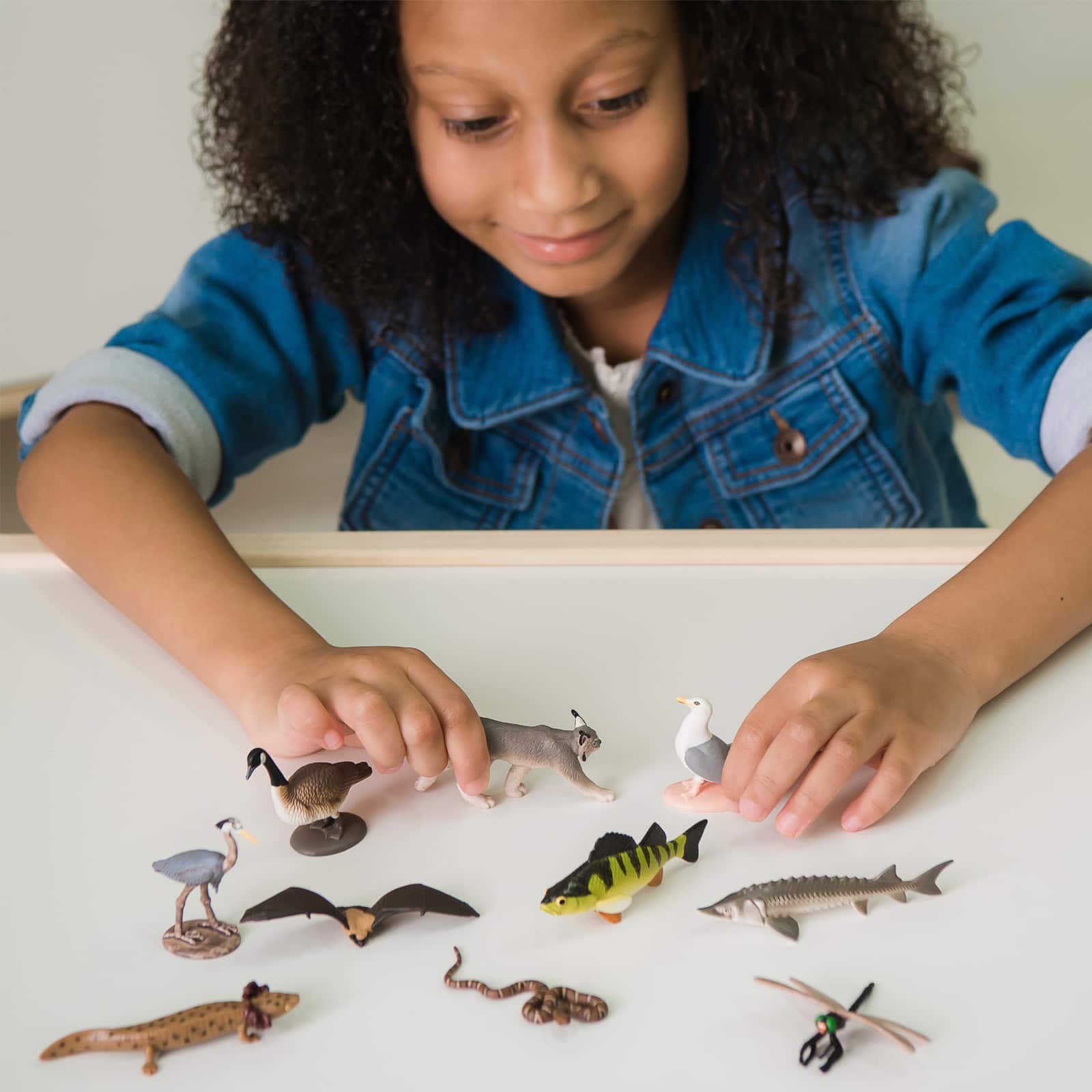 12 Pack: Safari Ltd® TOOB® Great Lakes Set