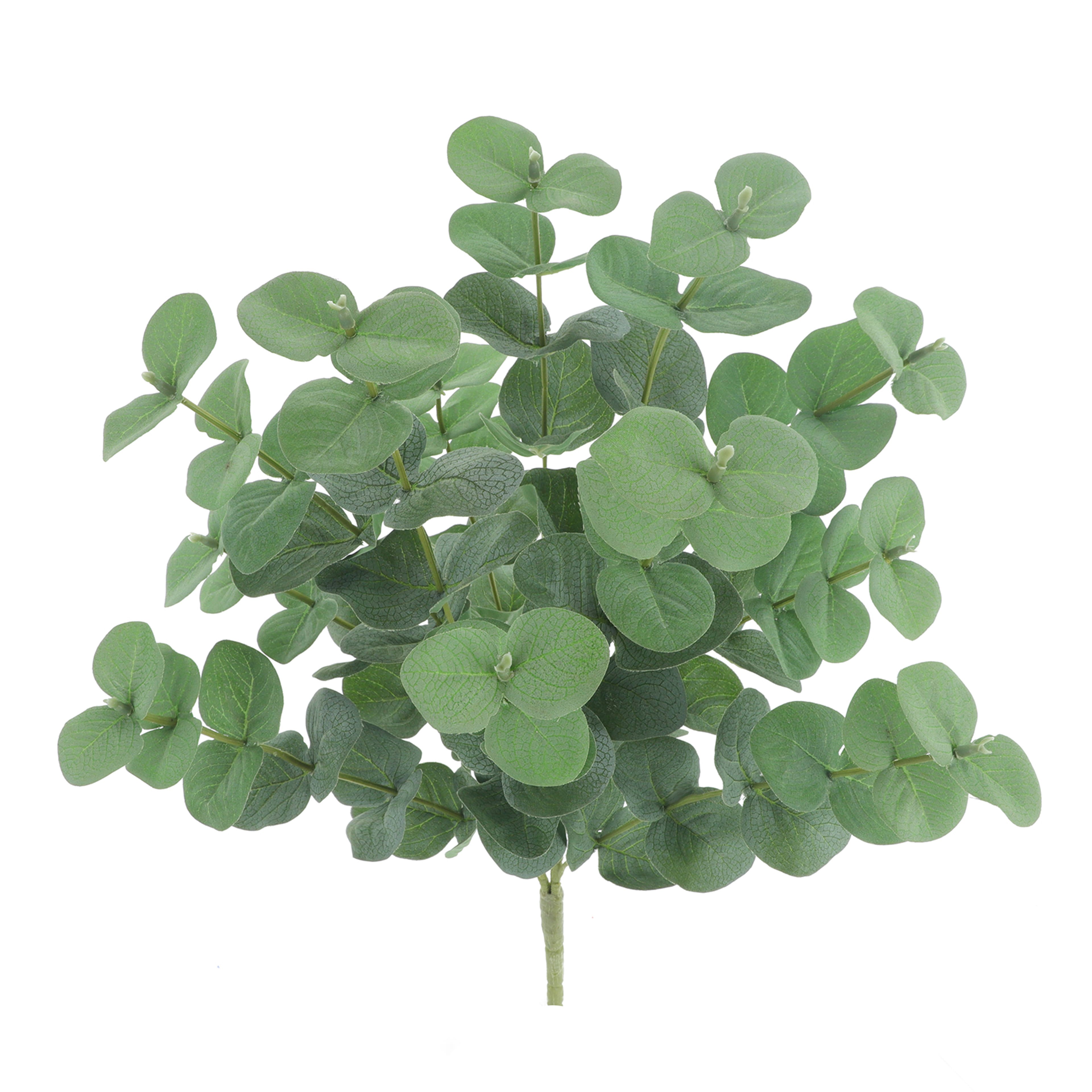 19&#x22; Green Eucalyptus Bush by Ashland&#xAE;