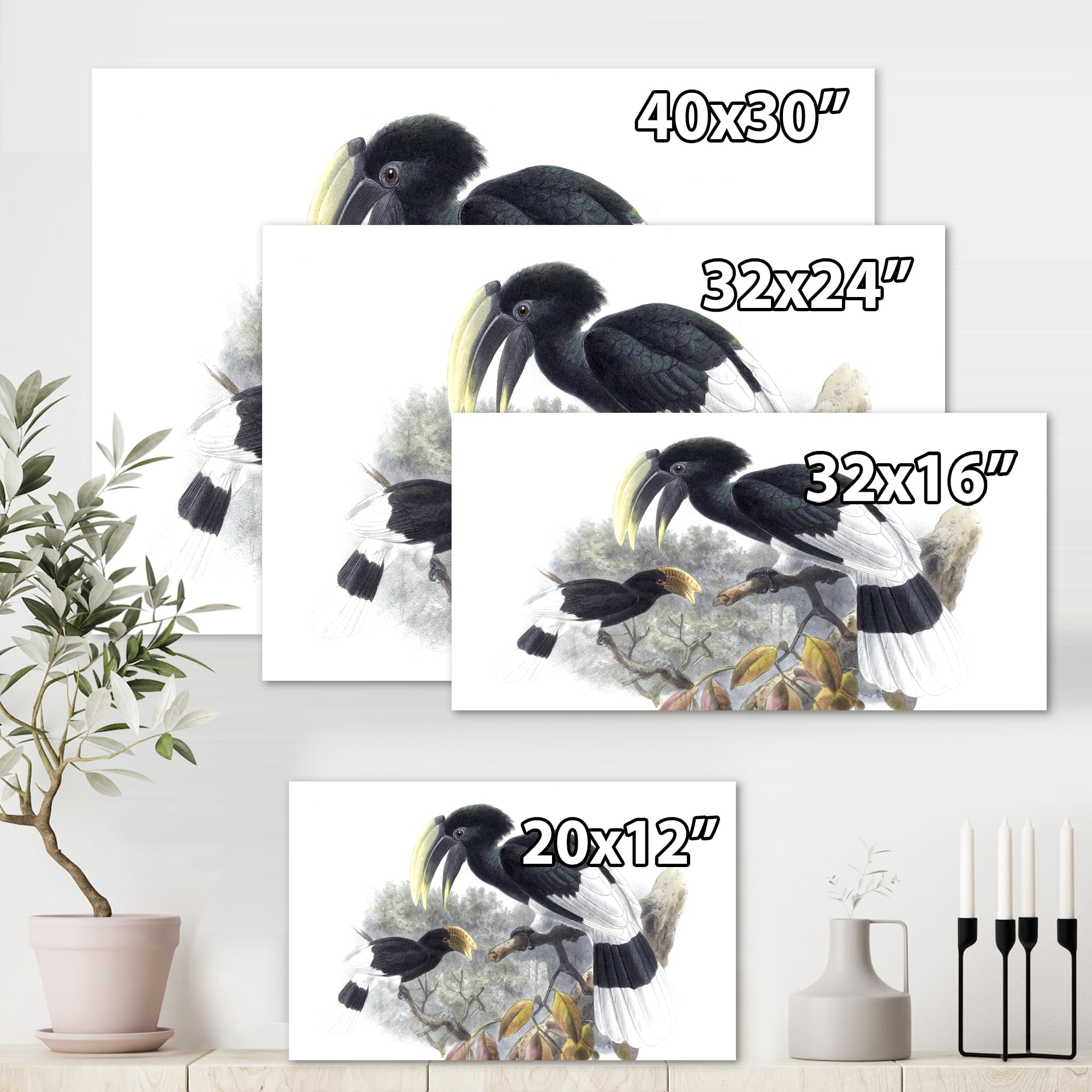 Designart - Vintage Bird Illustration I - Traditional Canvas Wall Art Print