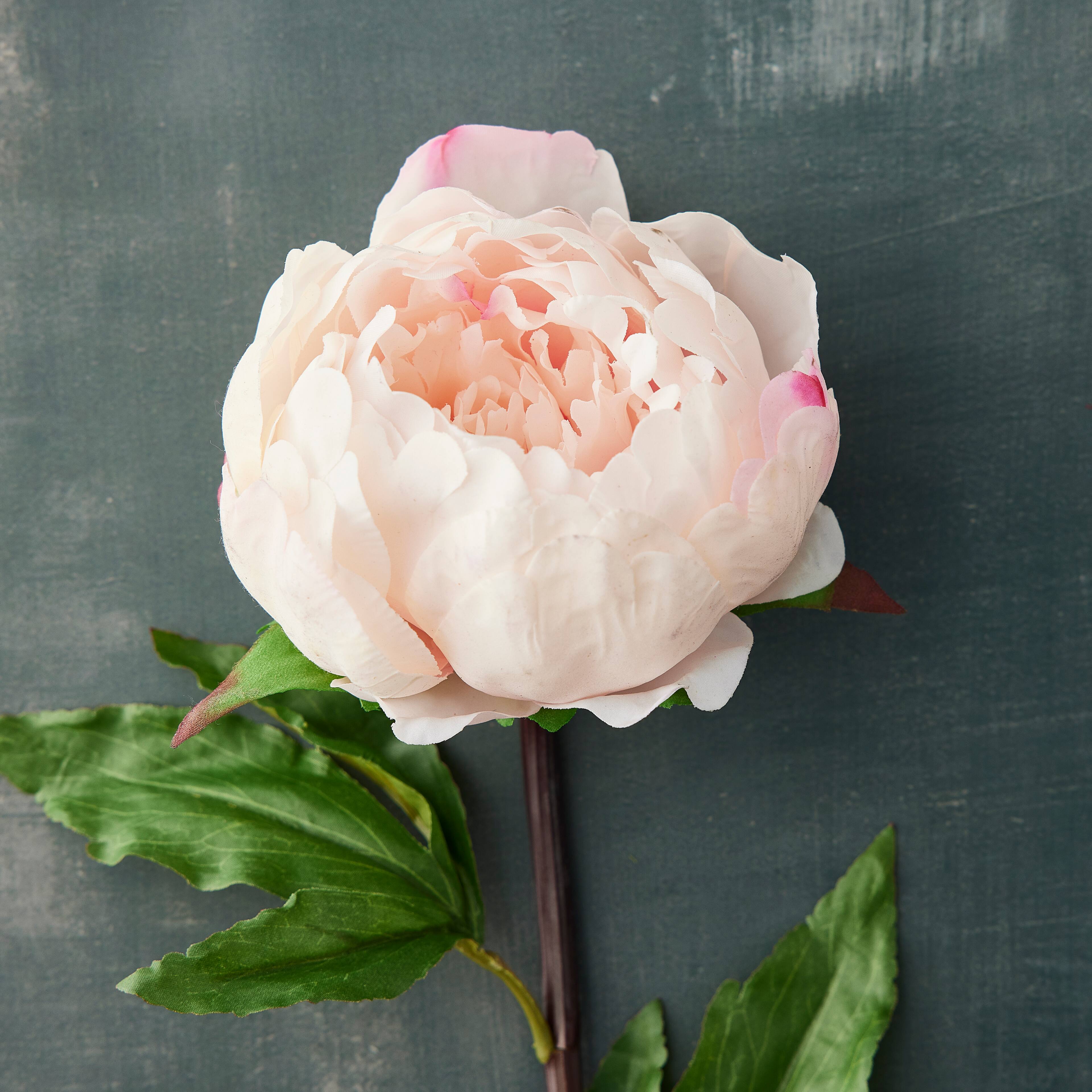 12 Pack: Light Pink King Peony Stem by Ashland&#xAE;