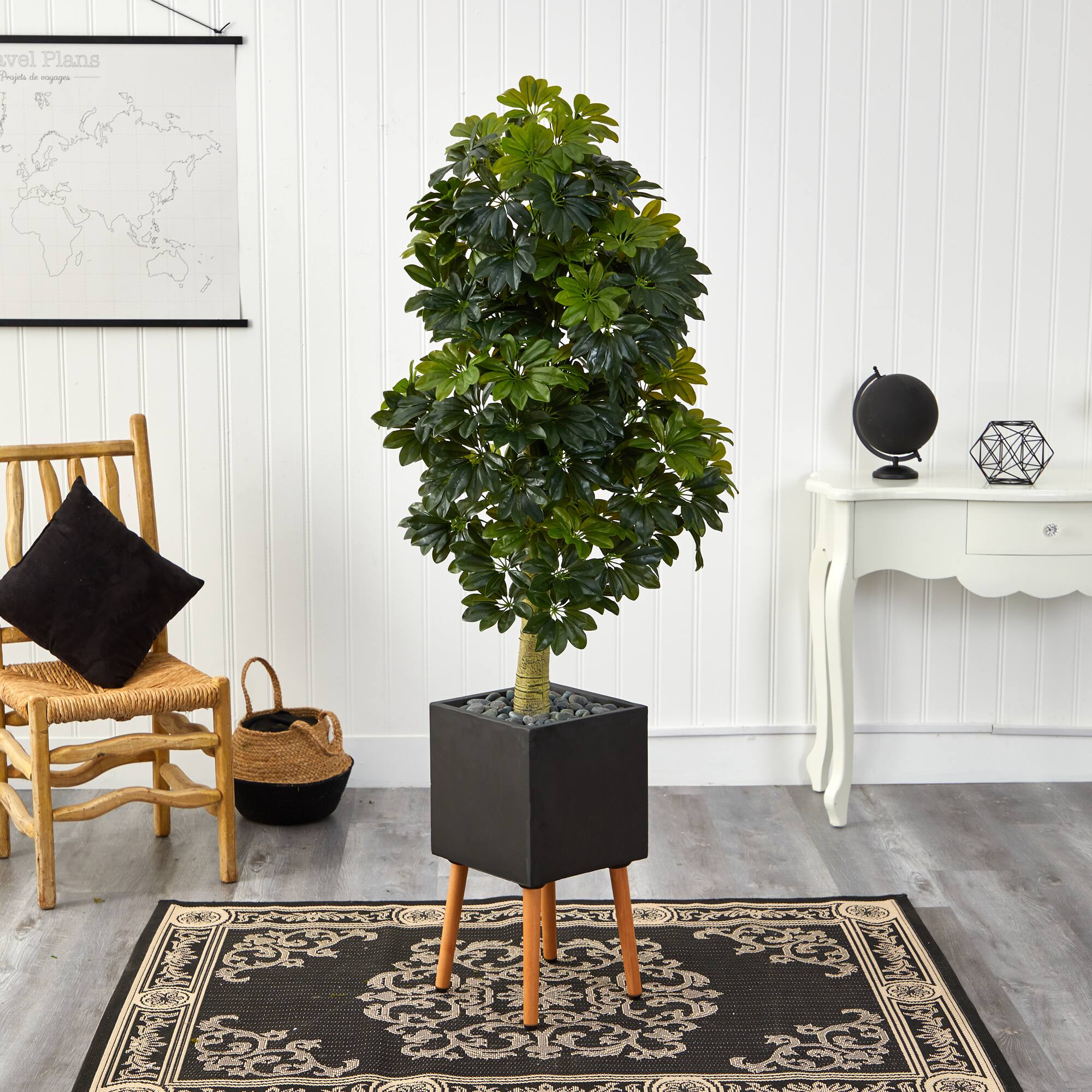 70" Schefflera Tree in Black Planter with Stand