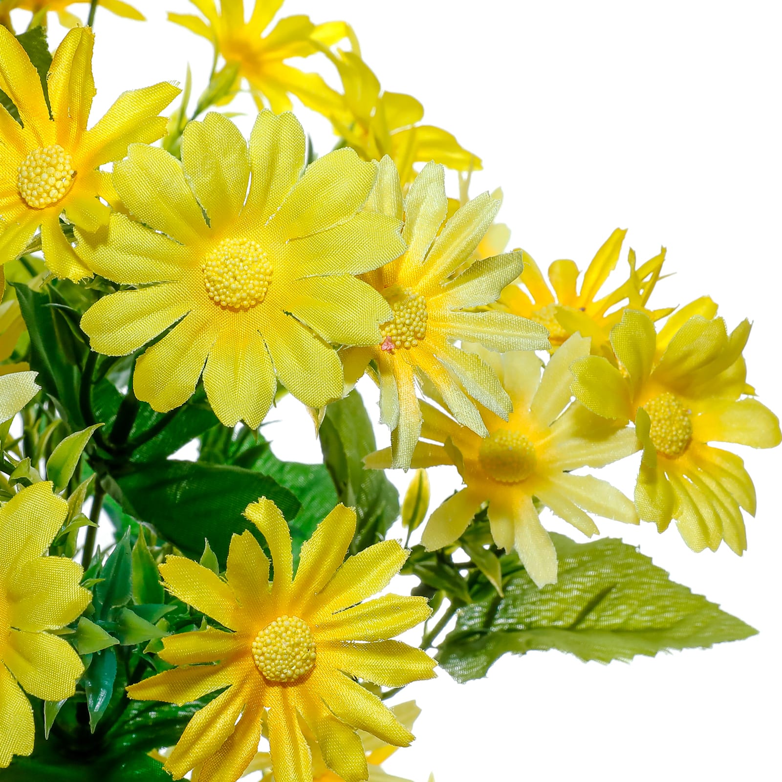 21&#x22; Mini Daisy Basic Bush by Ashland&#xAE;