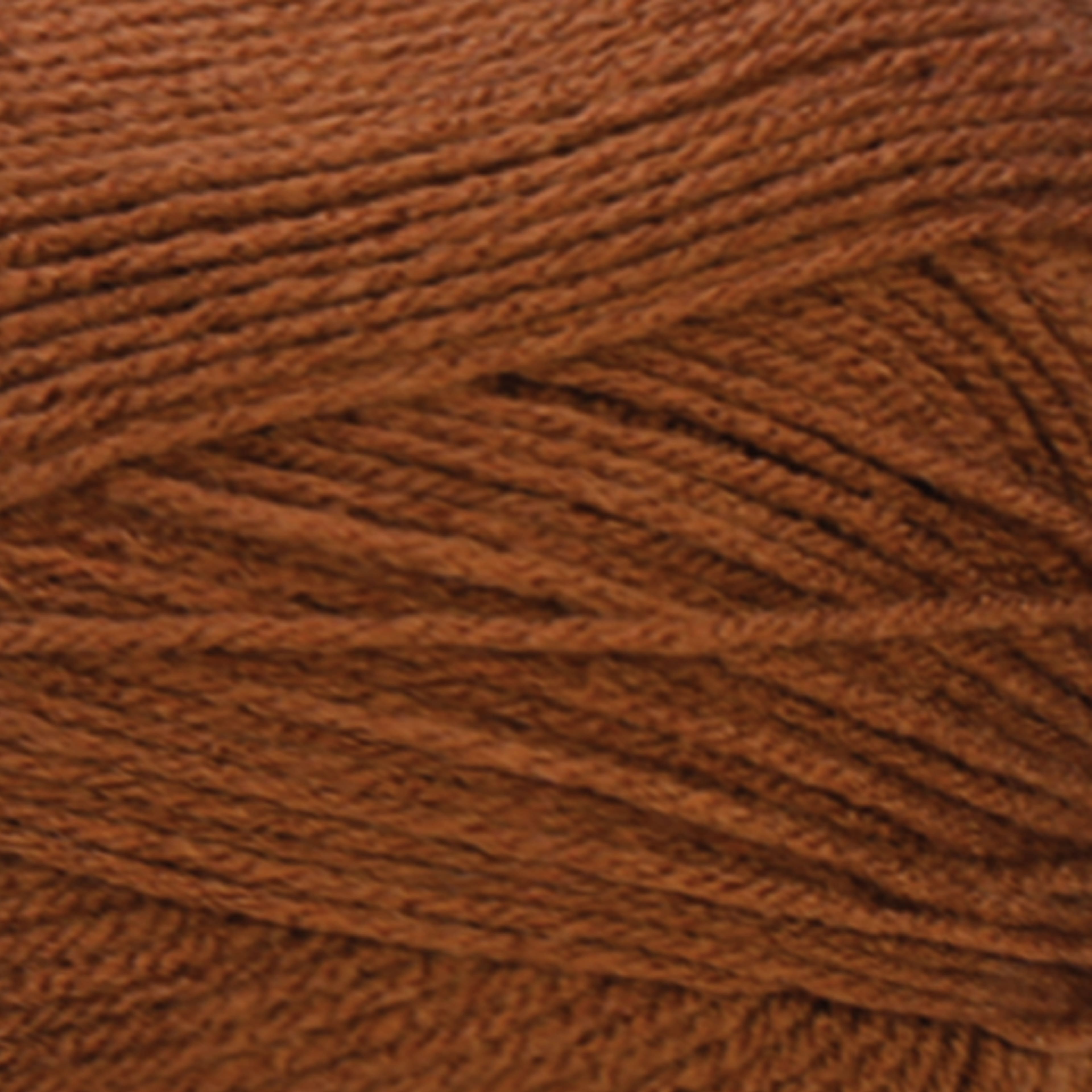 Big Twist&#xAE; Value Pound+ Yarn