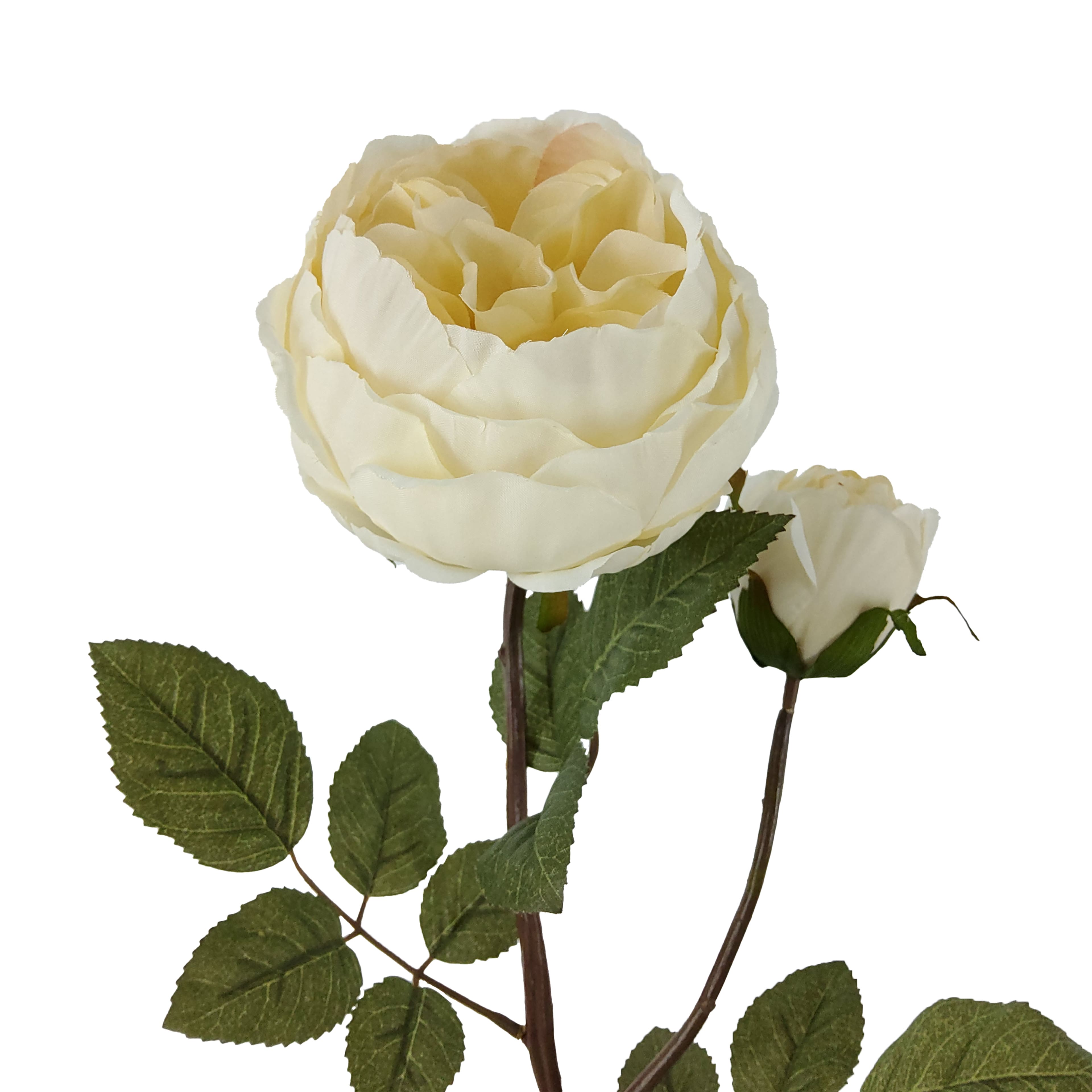 24&#x22; Cream Cabbage Rose Stem by Ashland&#xAE;