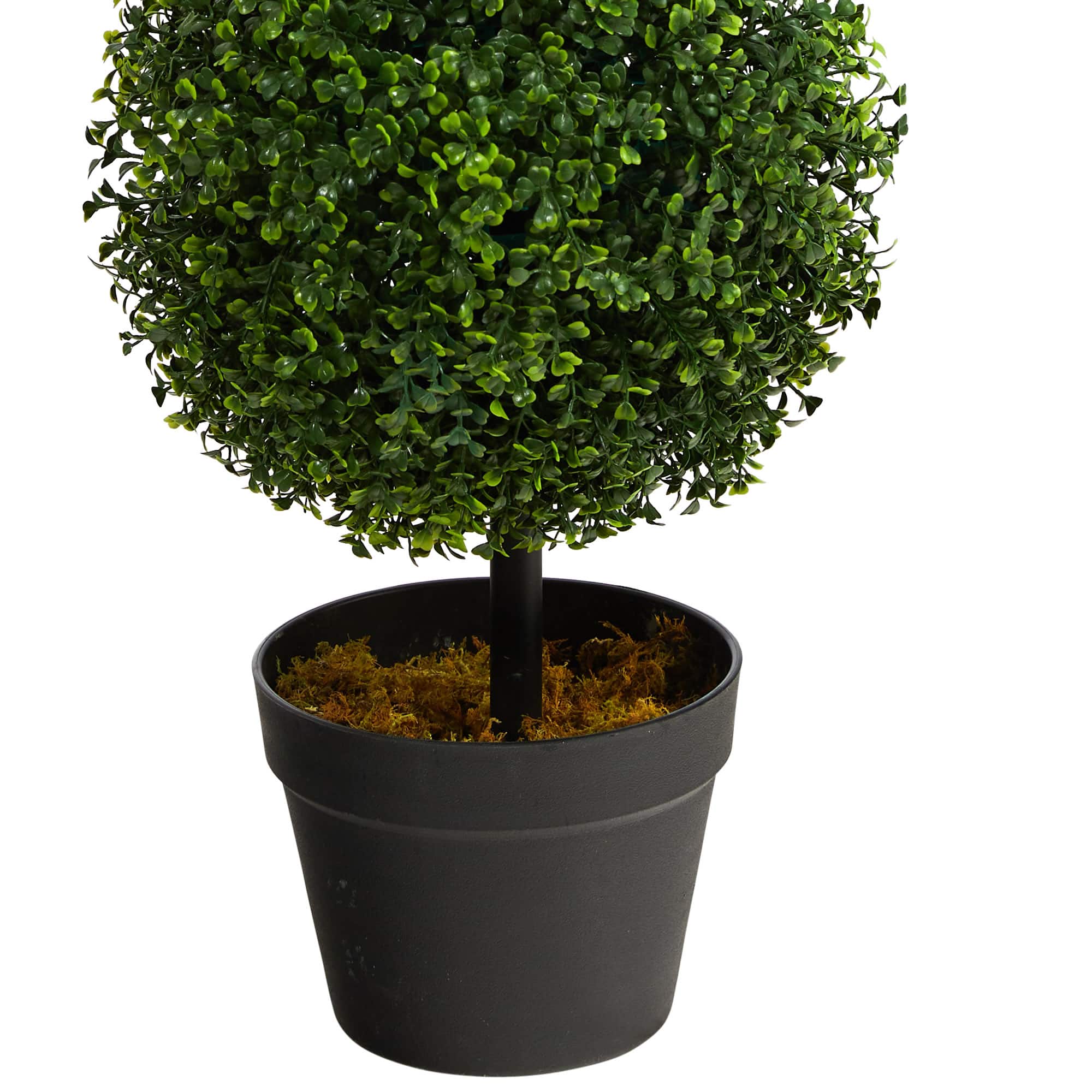 3ft. Potted Boxwood Triple Ball Topiary Tree