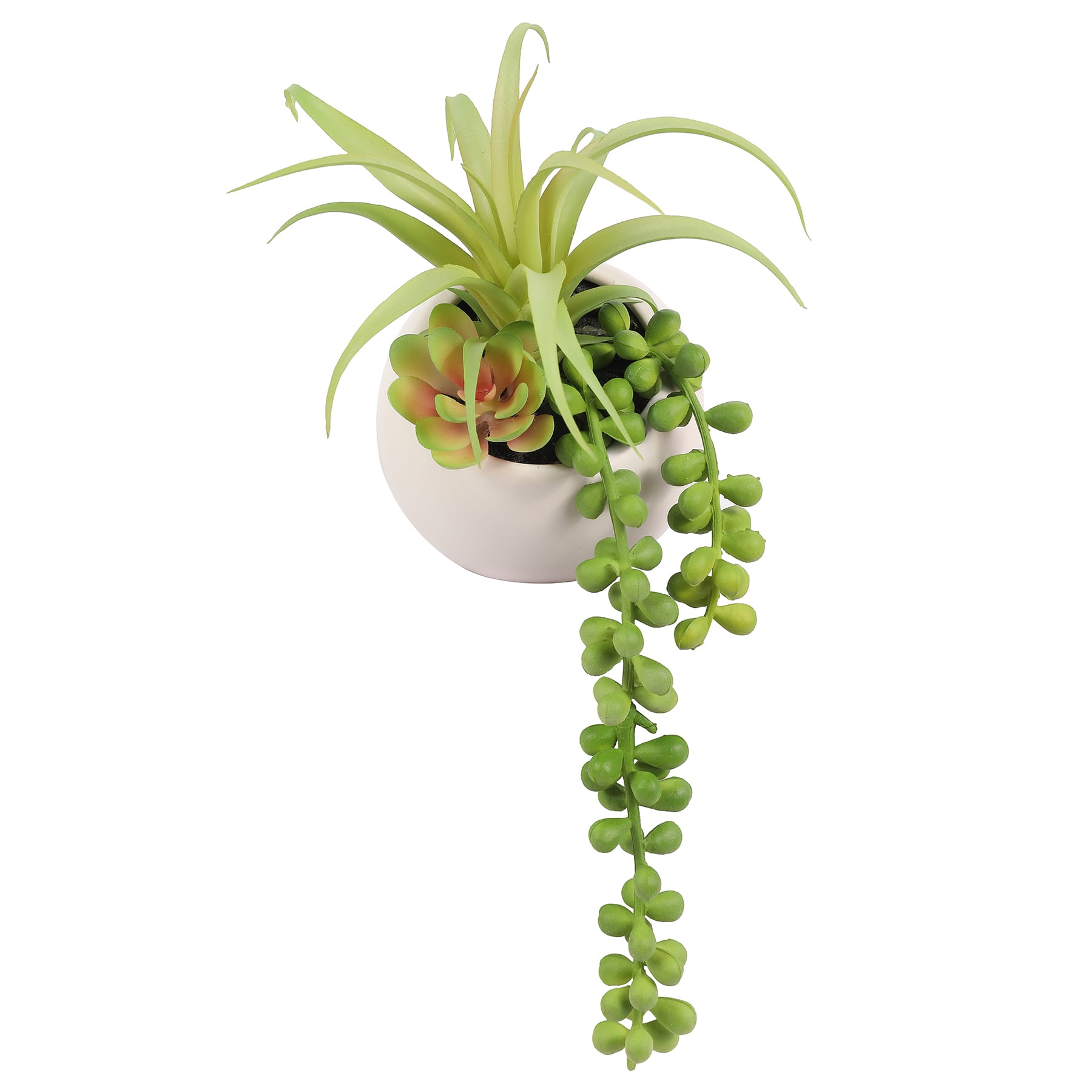 4&#x22; Succulent in White Planter by Ashland&#xAE;