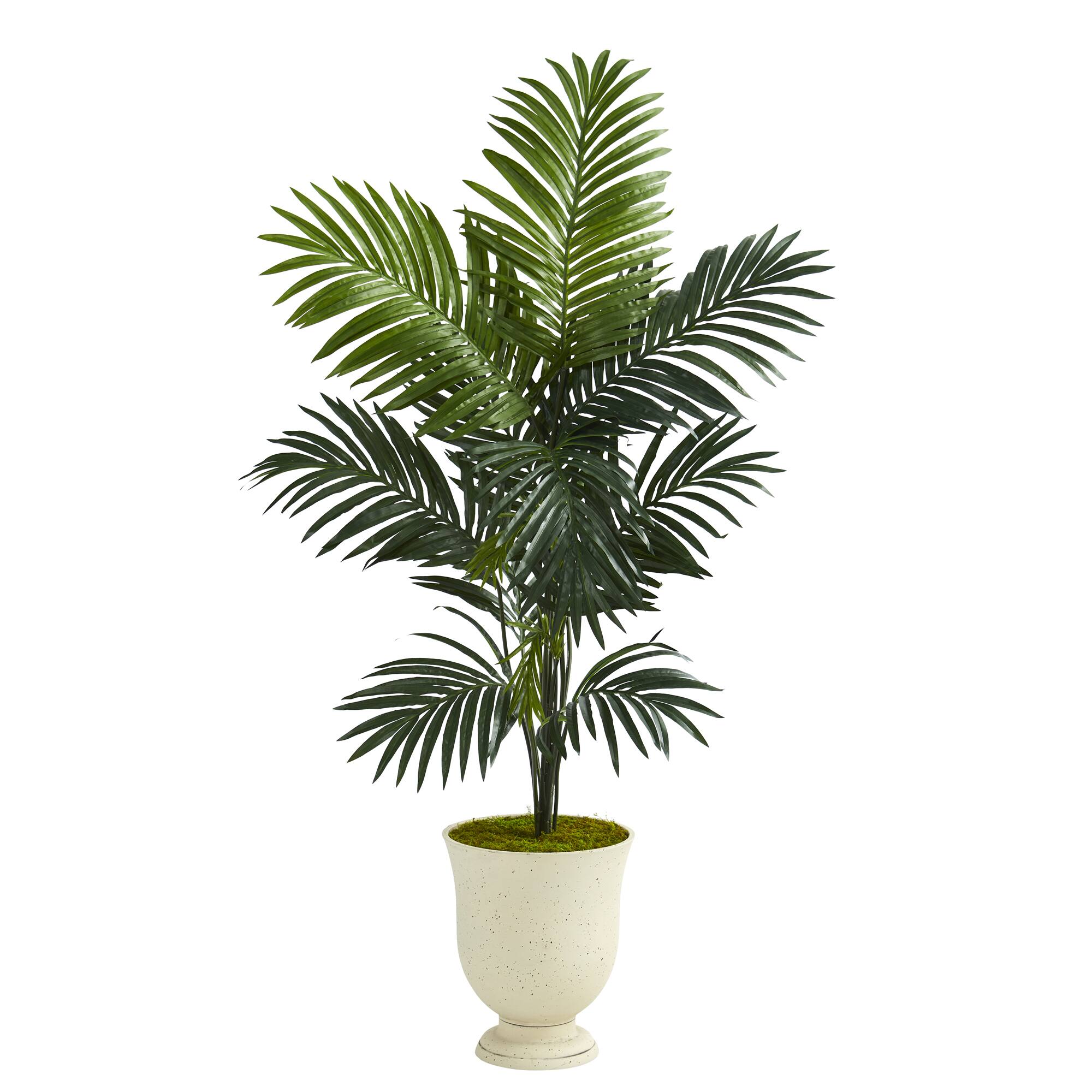 5.4ft. Kentia Artificial Palm Tree in Decorative Urn | Michaels