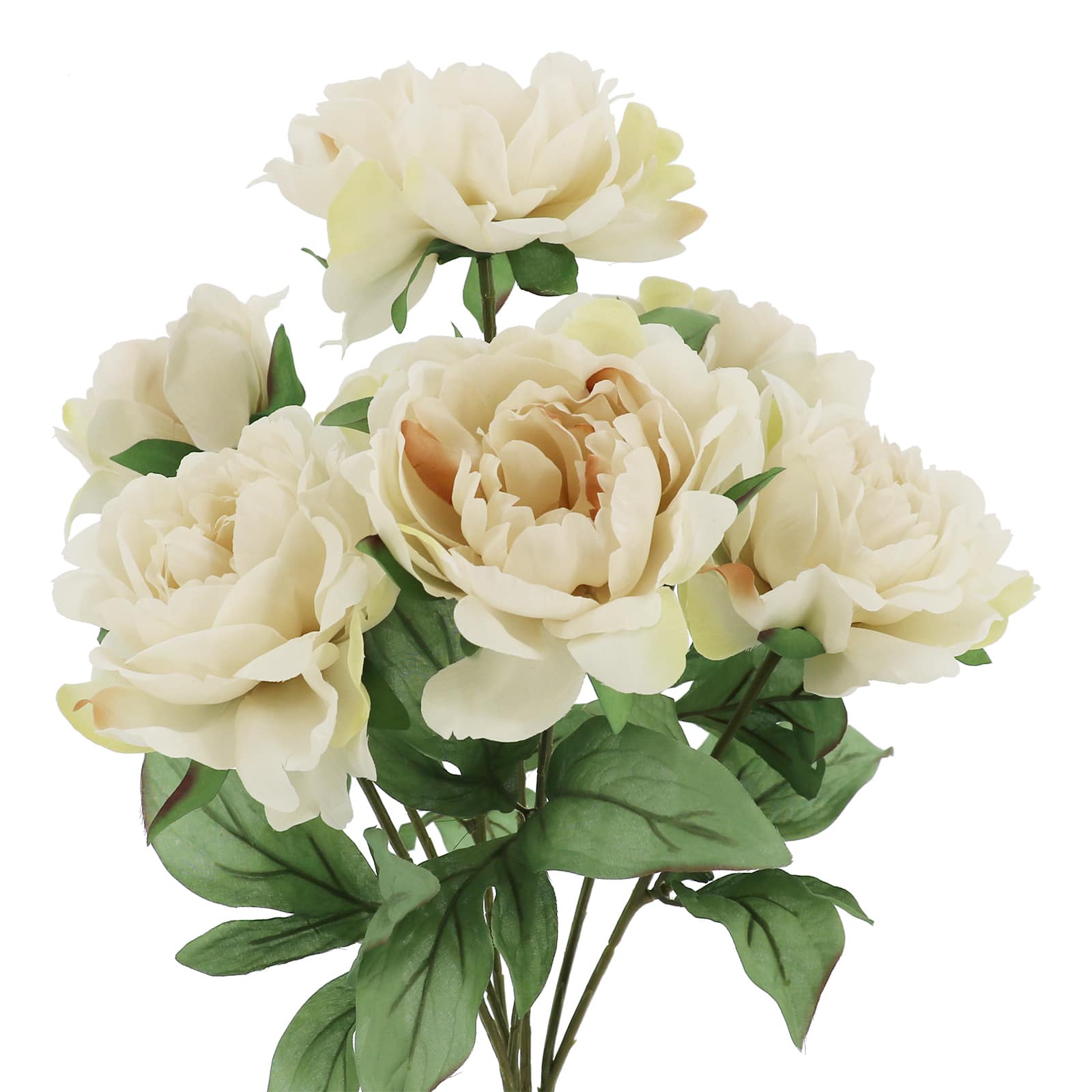 19&#x22; Peony Deluxe Bush by Ashland&#xAE;