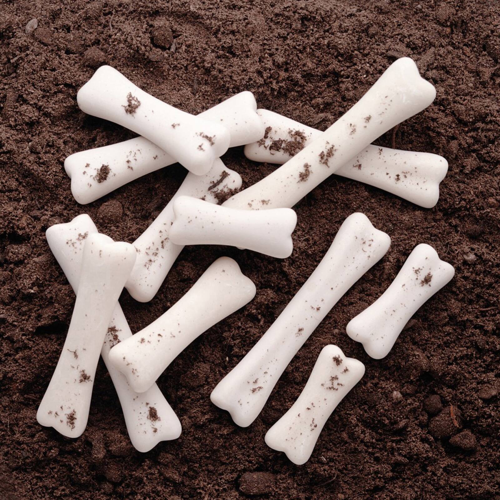 Yellow Door Dinosaur Bones Discovery Set