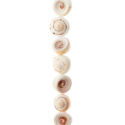 White Swirl Shell Beads, 16mm by Bead Landing™ image