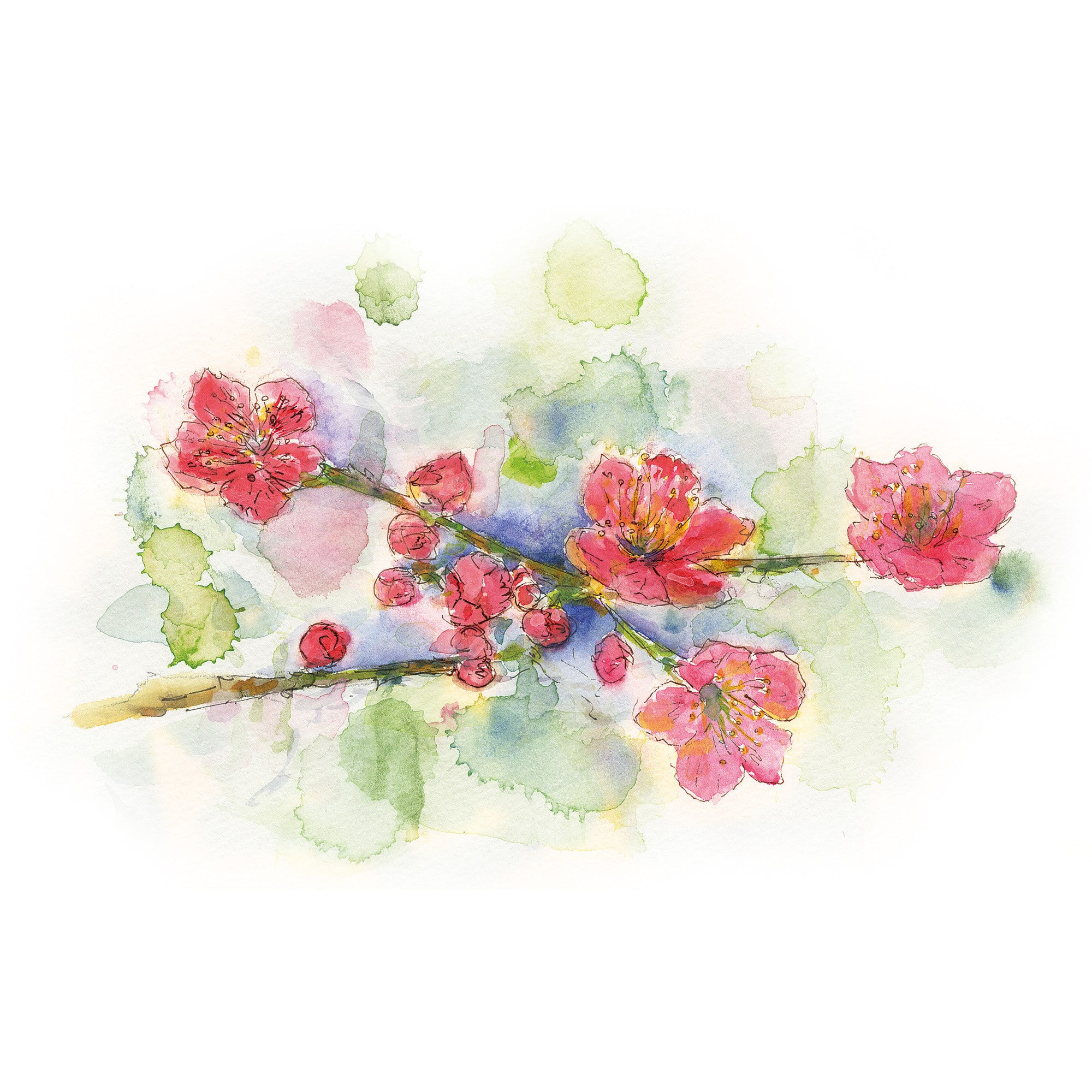 Kuretake GANSAI TAMBI™ 24 Colour Watercolour Set