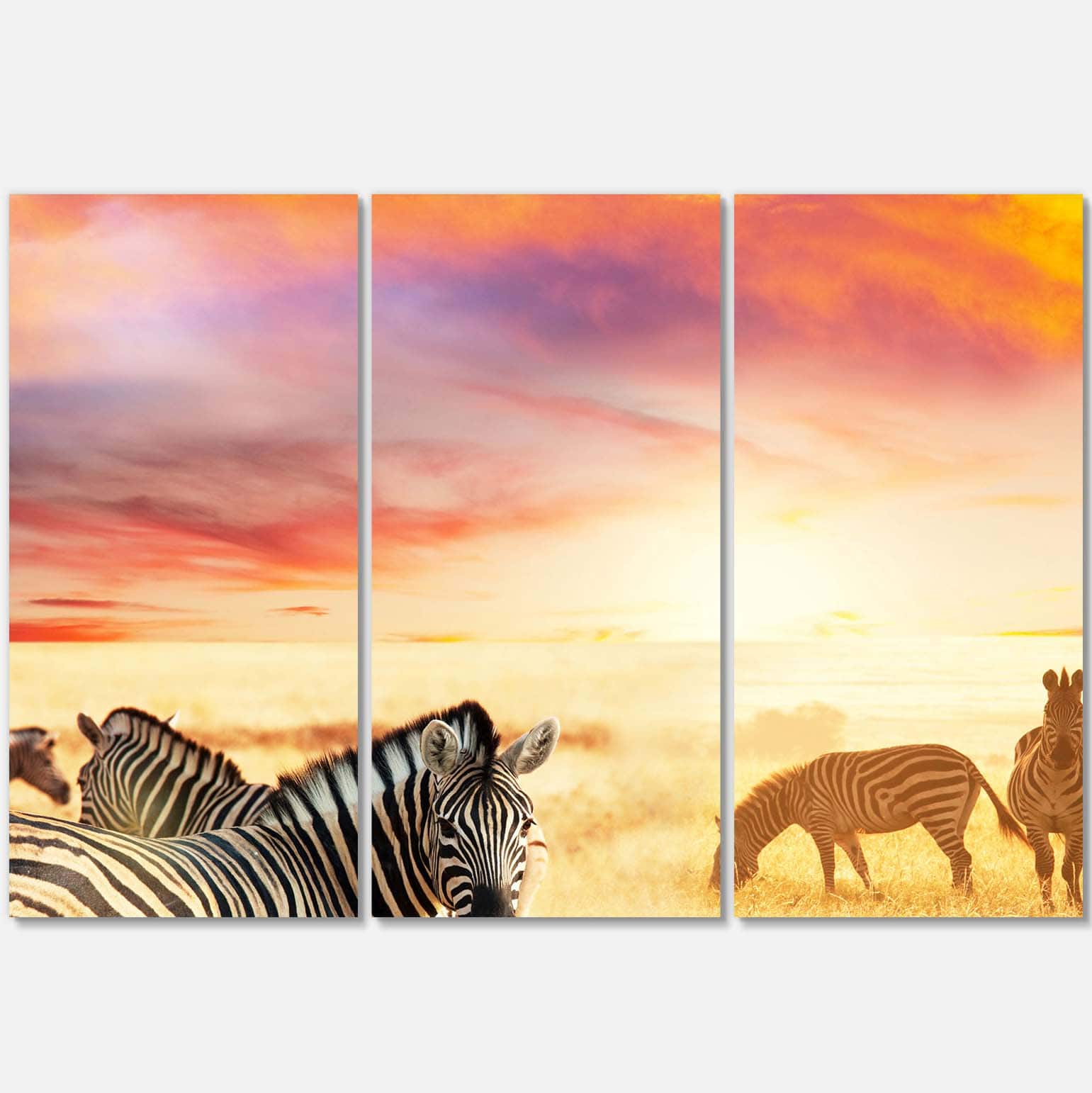 Designart - Cute Zebras Grazing in Grassland - Animal Canvas Art Print