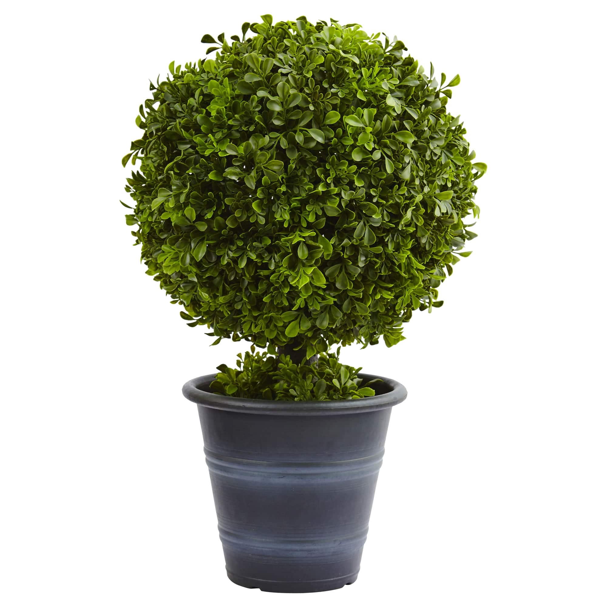 23" Potted Boxwood Ball Topiary
