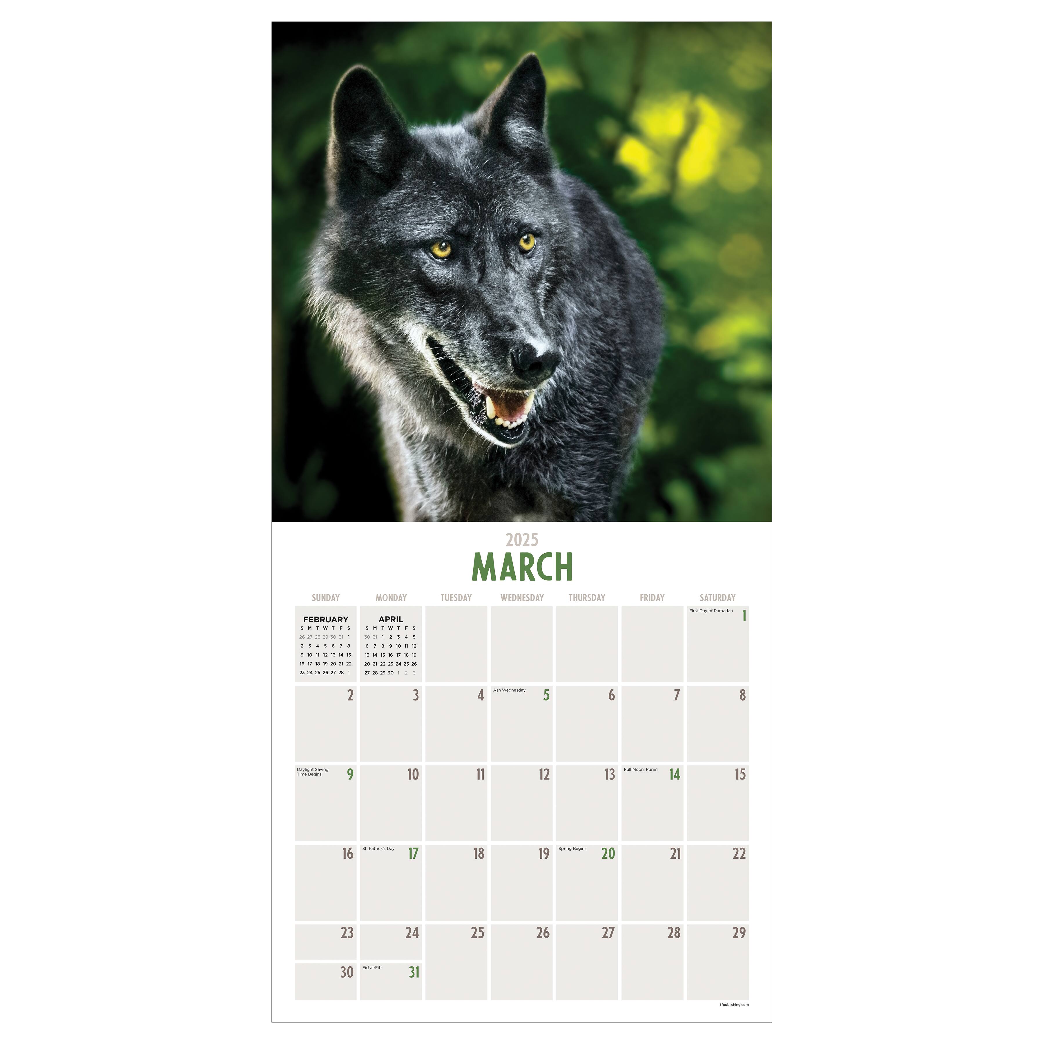 TF Publishing 2025 Wolves Wall Calendar