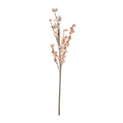 Peach Blossom Stem by Ashland® | Michaels