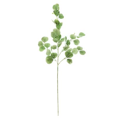 Green Sage Eucalyptus Stem by Ashland® | Michaels