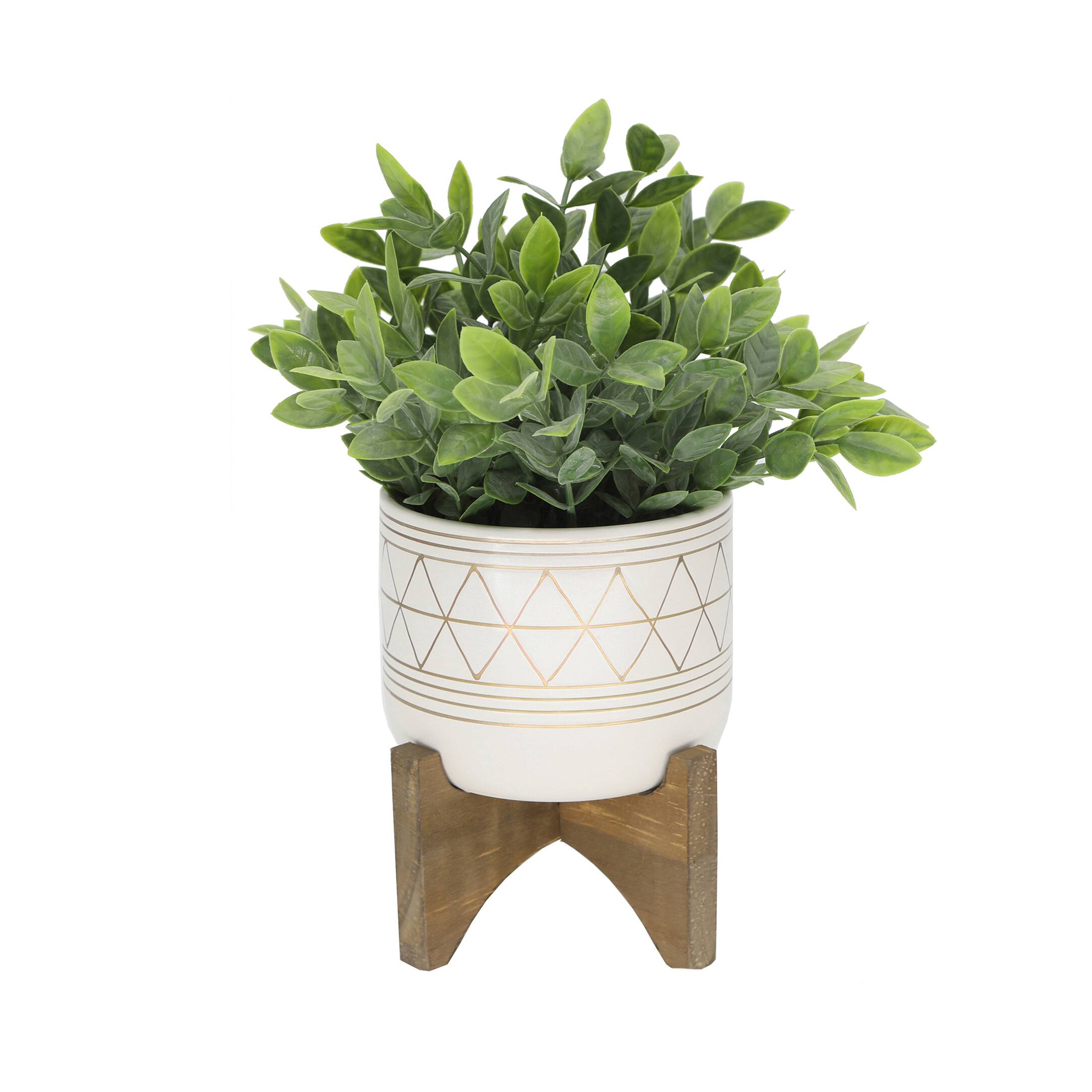 Flora Bunda&#xAE; 11&#x22; Tea Plant in Geo Ceramic Footed Pot