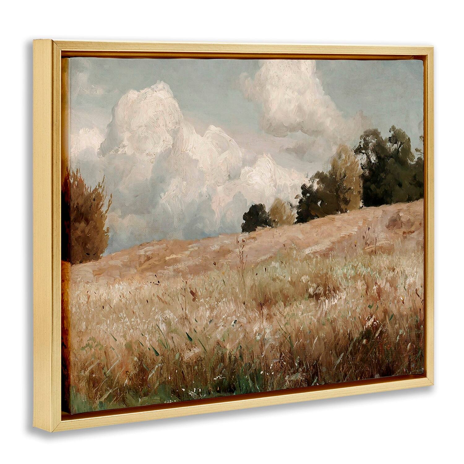 Stupell Industries Classic Cloudy Field Landscape Floater Framed Art