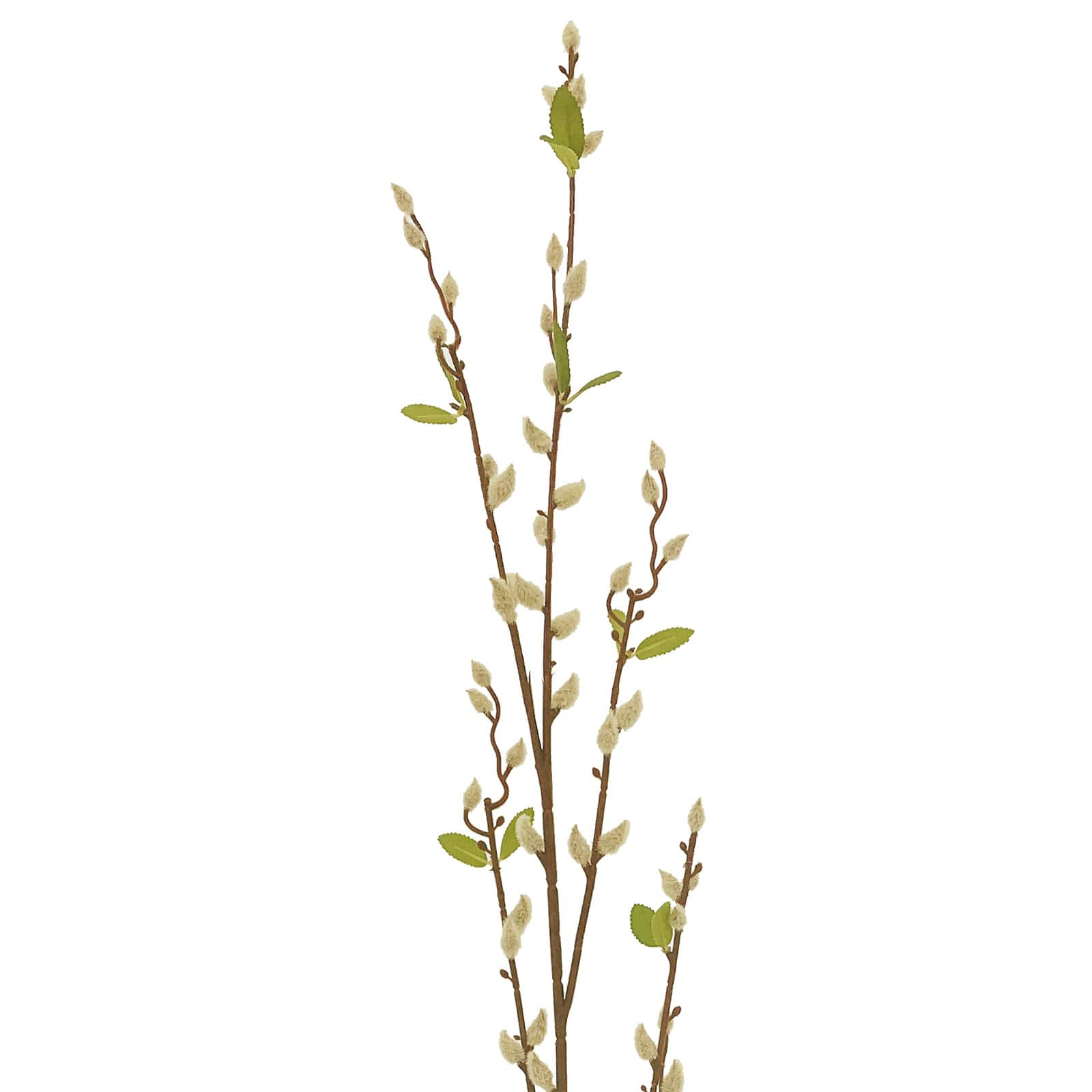16 Pack: Cream Willow Branch Stem by Ashland®