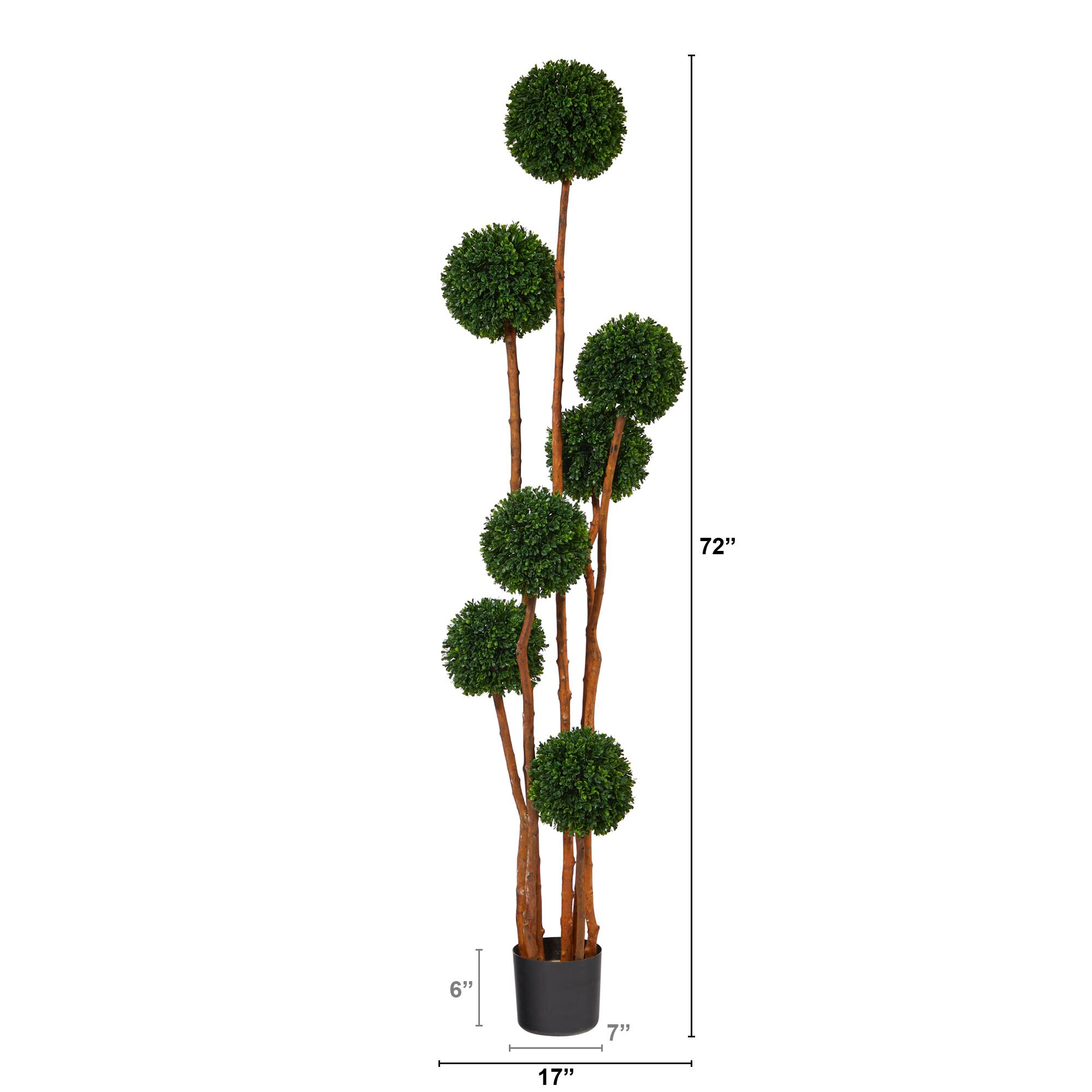 6ft. Potted Boxwood Multi-Ball Topiary Tree