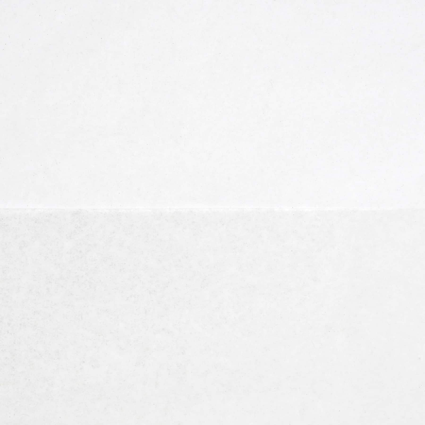 6 Packs: 125 ct. (750 total) White Tissue Paper Value Pack by Celebrate It&#x2122;