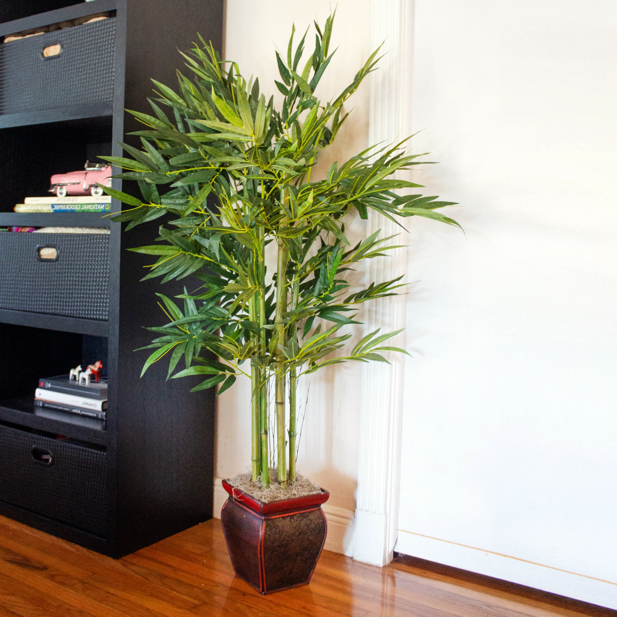 5.5ft. Bamboo Tree with Brown Planter