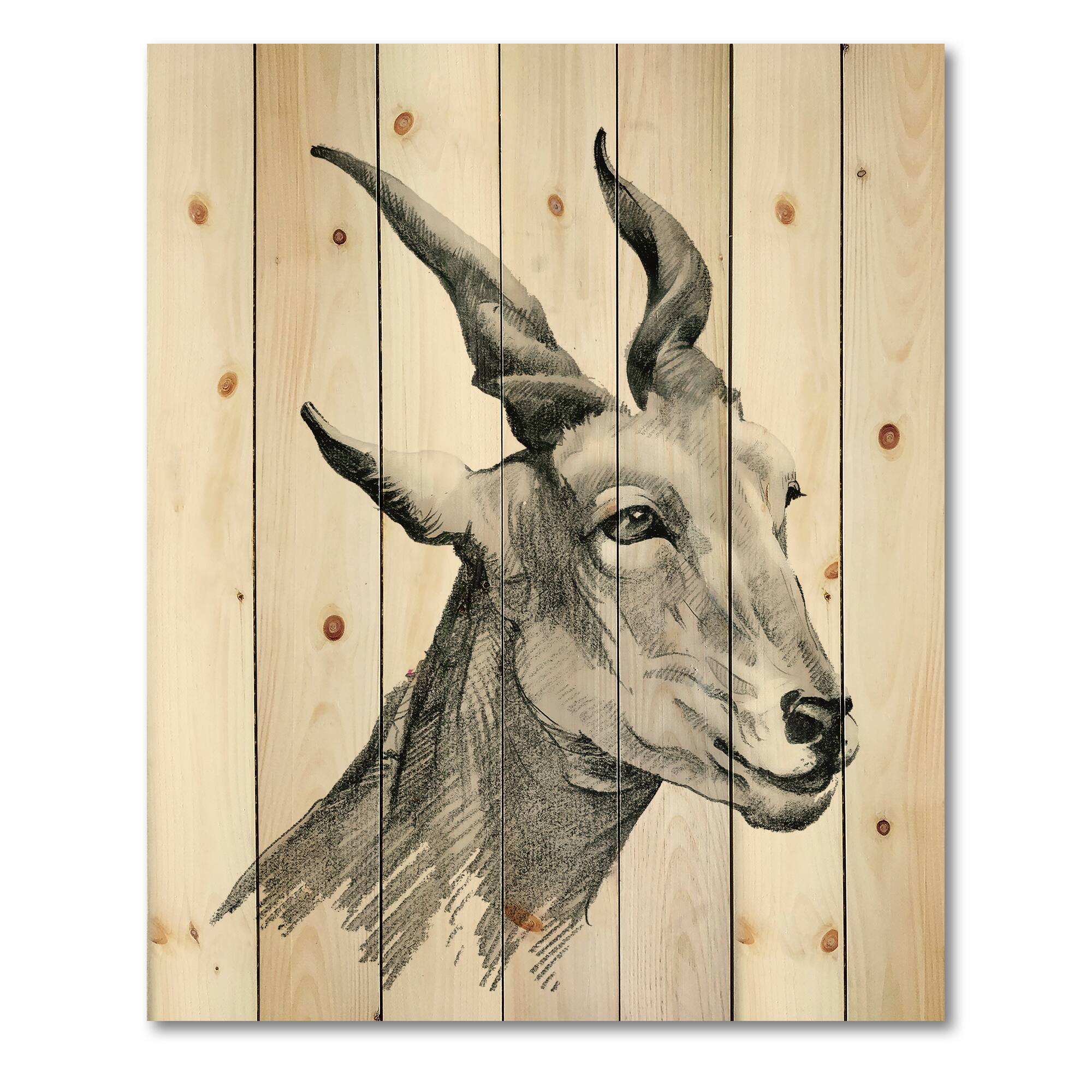 Designart - Monochrome Portrait Of Goat I