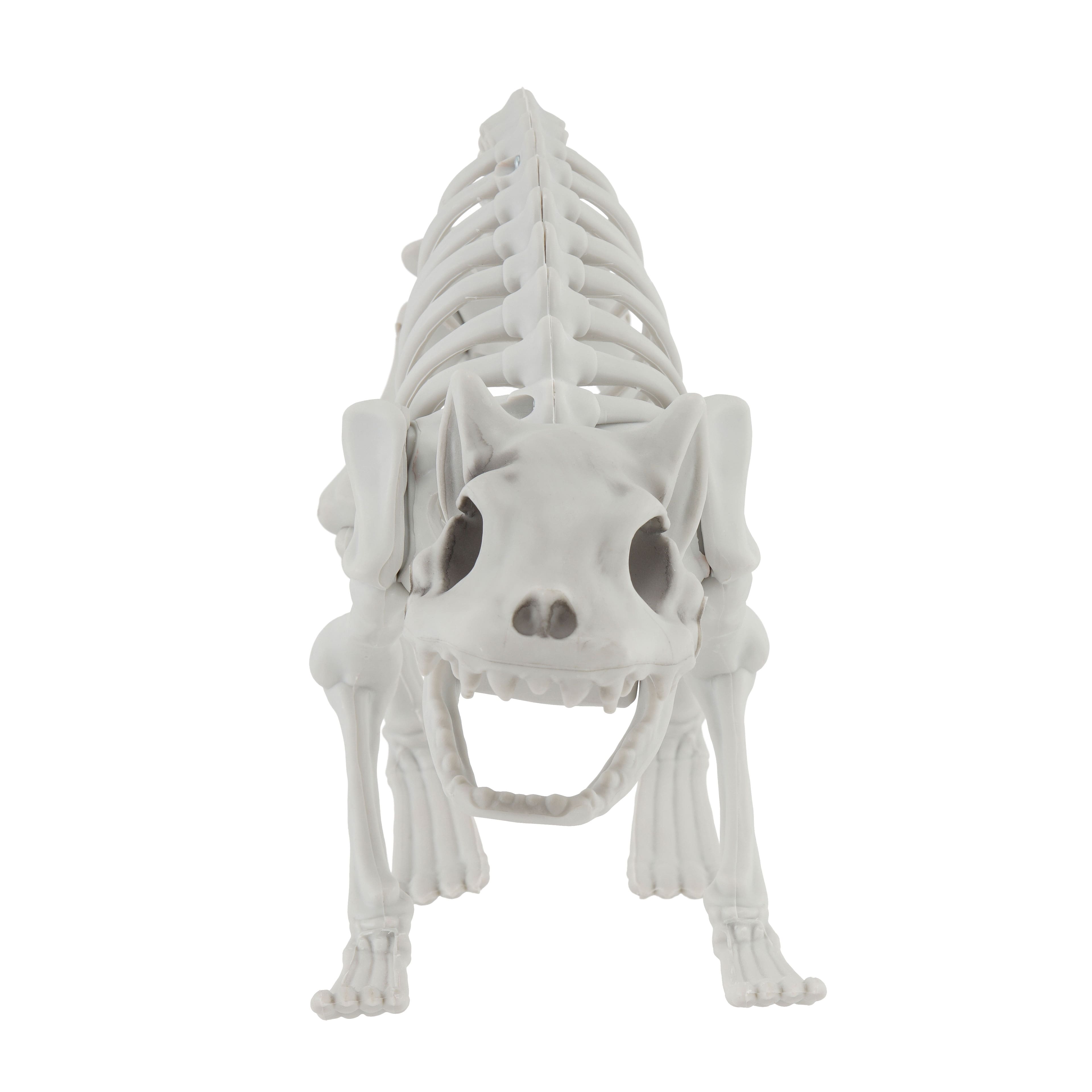 11&#x22; Cat Skeleton by Ashland&#xAE;