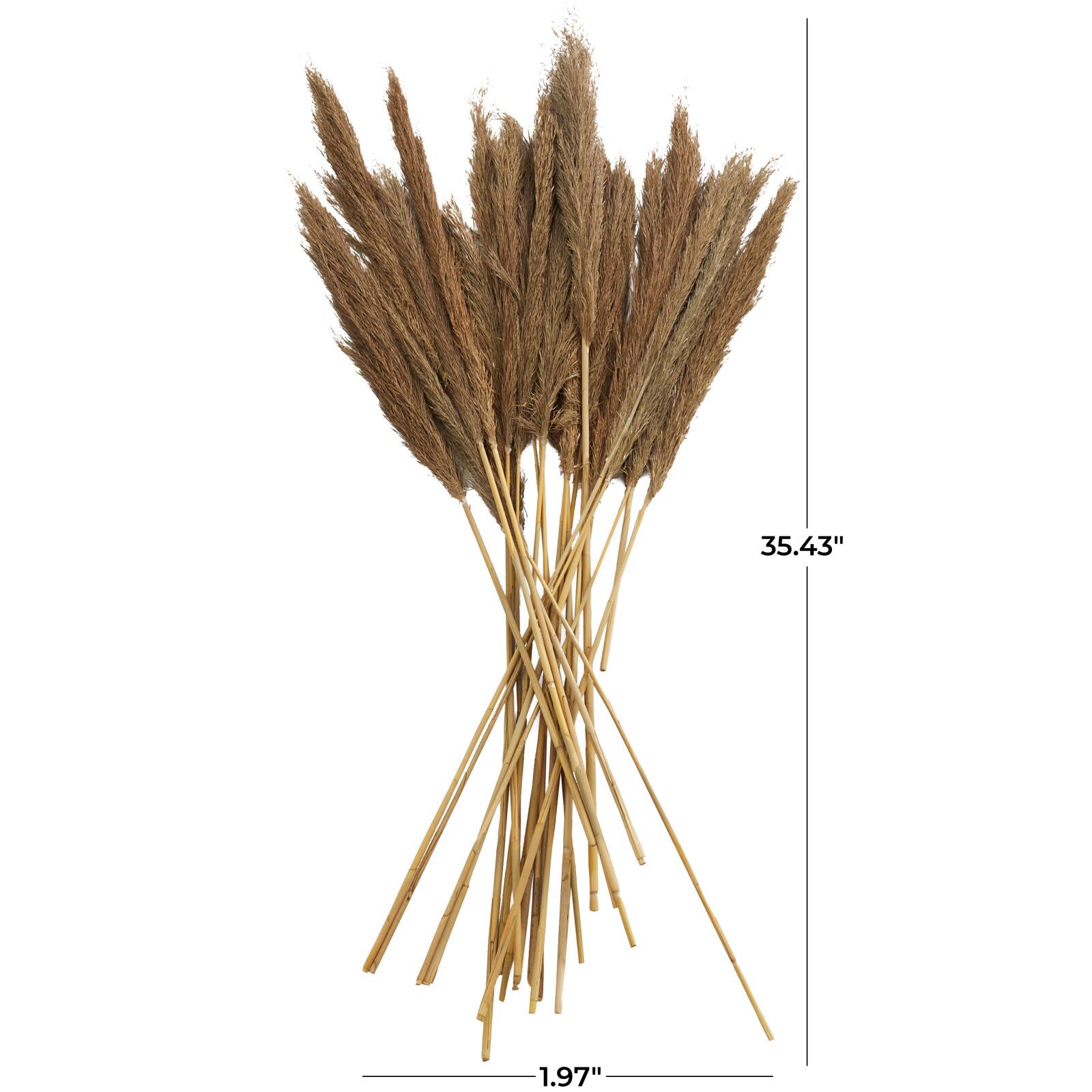 Dried Plant Bamboo Natural Foliage with Long Stems