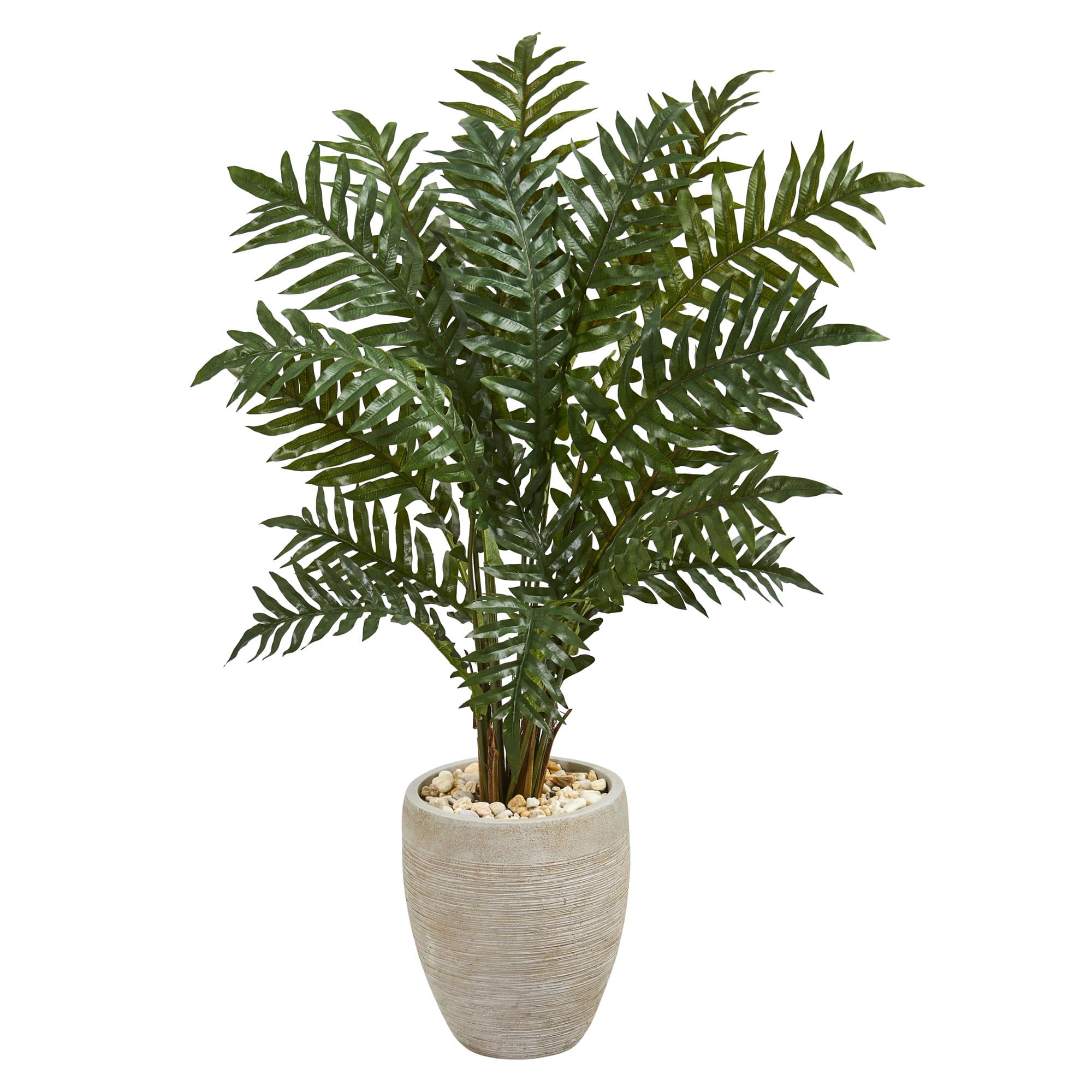 4ft. Evergreen Plant in Scrape Finish Planter