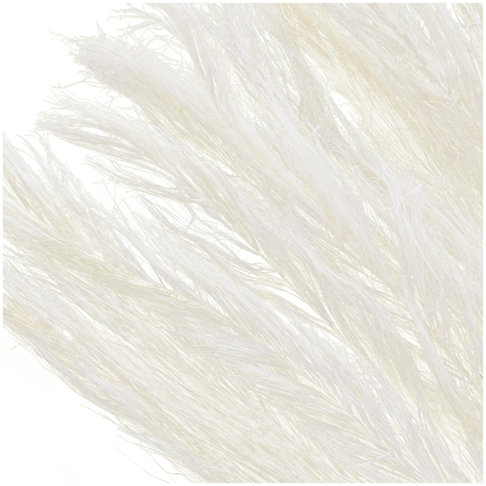 35" Natural Dried Palm Leaf Bundle with Feather-Inspired Stems