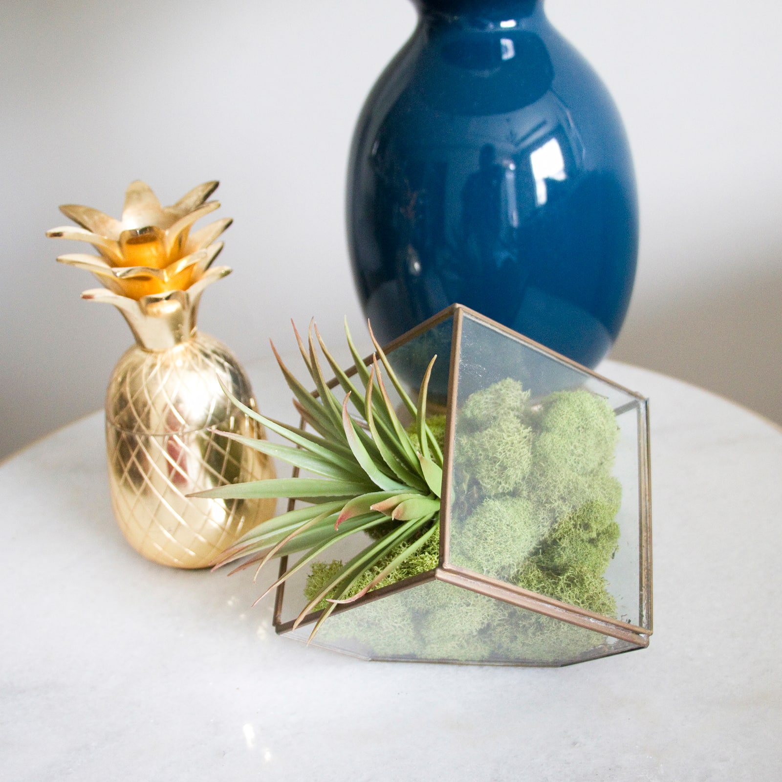 12 Pack: Spring Green Reindeer Moss by Ashland®