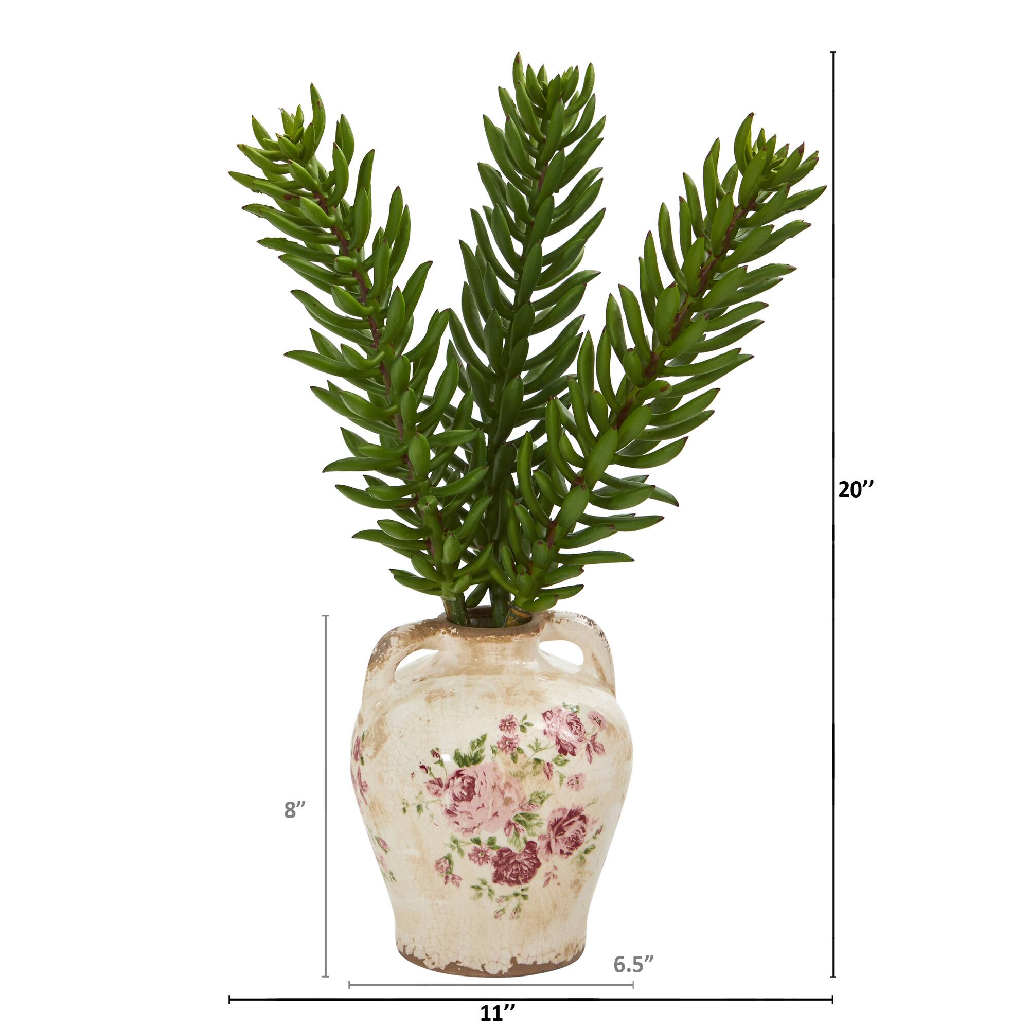 20&#x22; Succulent Plant in Floral Jar