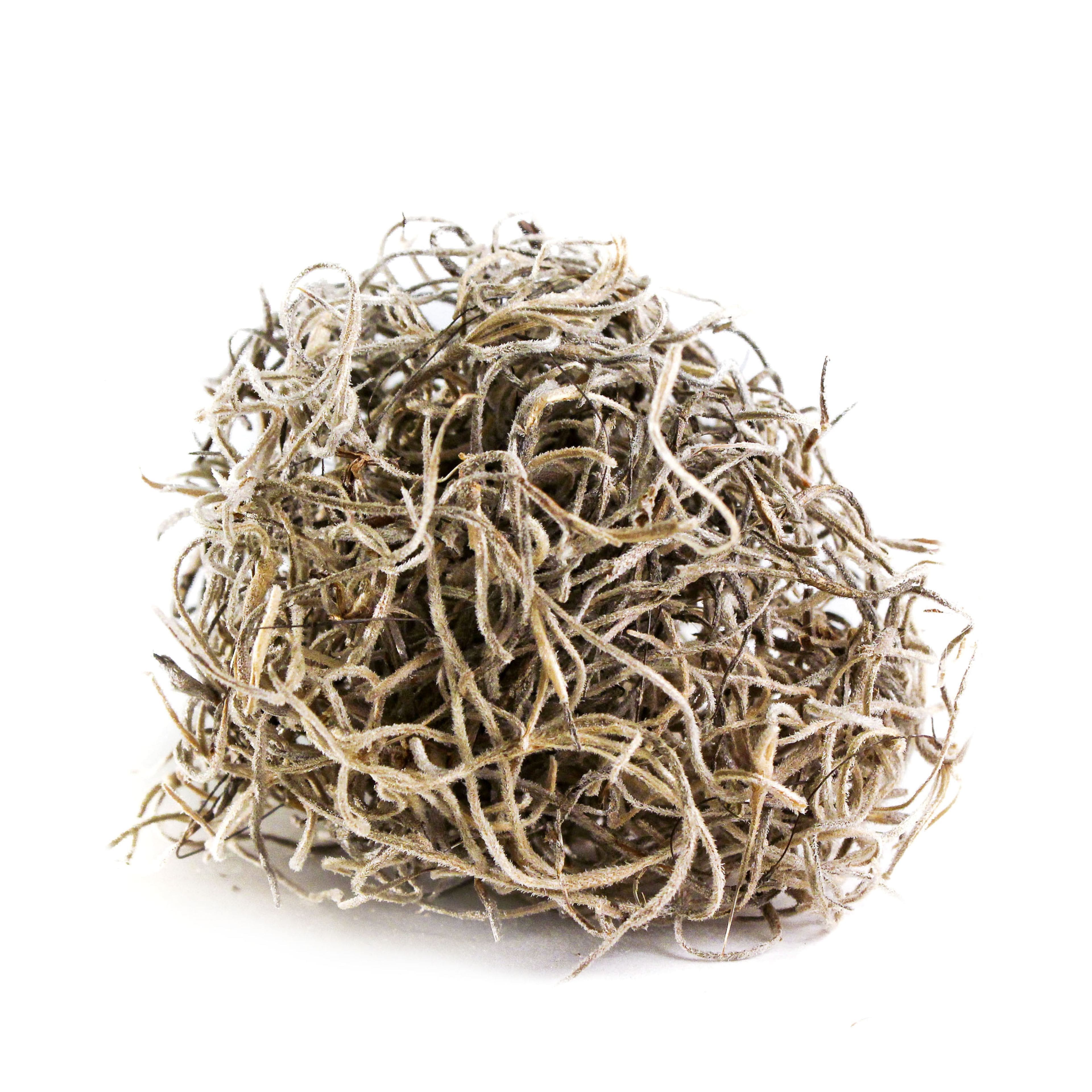 SuperMoss&#xAE; Natural Preserved Spanish Moss, 24qt.