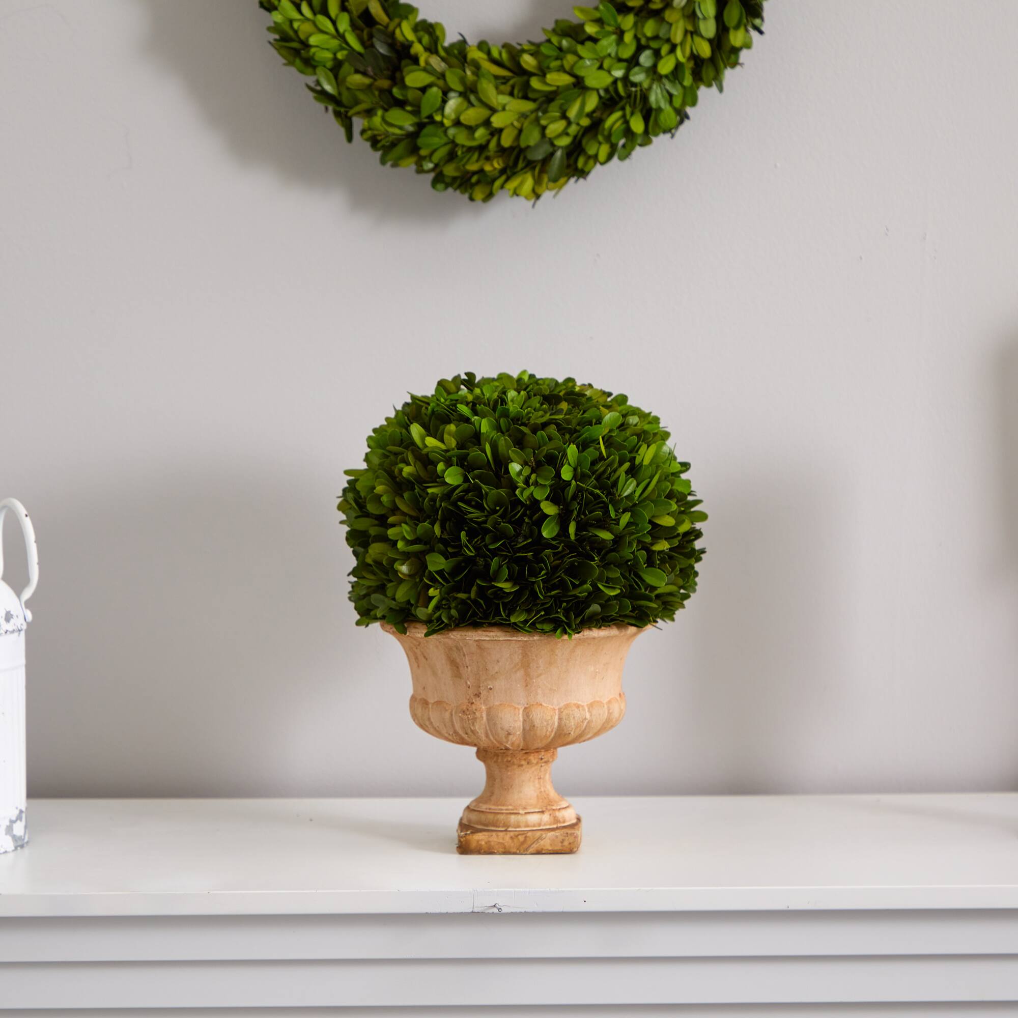 12in. Boxwood Topiary Ball in Decorative Urn