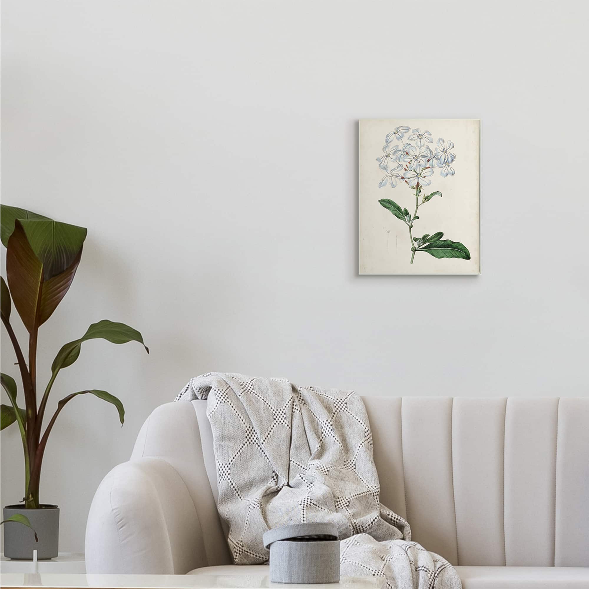 Stupell Industries Rustic Garden Floral Study Charming White Blossoms Wall Plaque