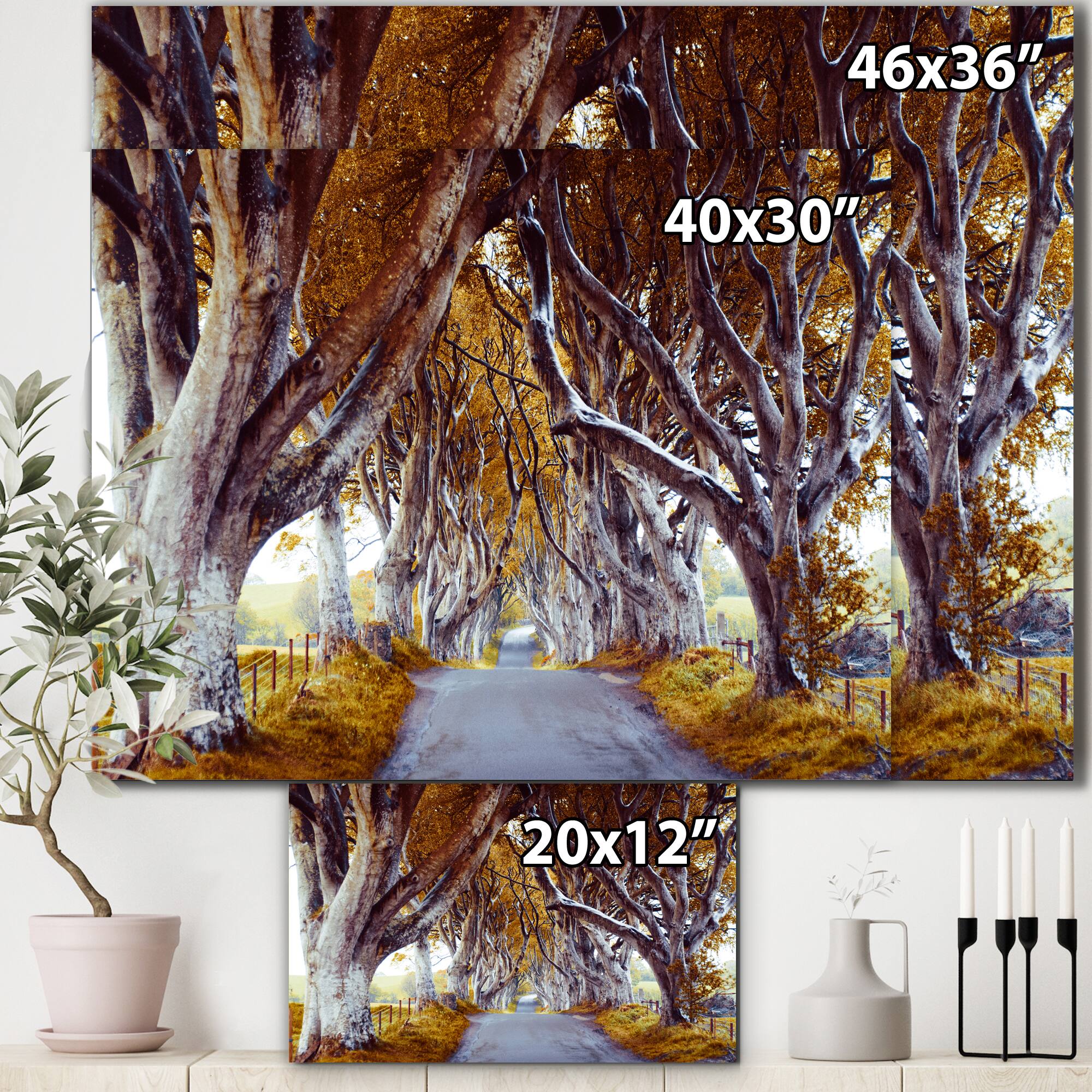 Designart - Majestic Tree Alley