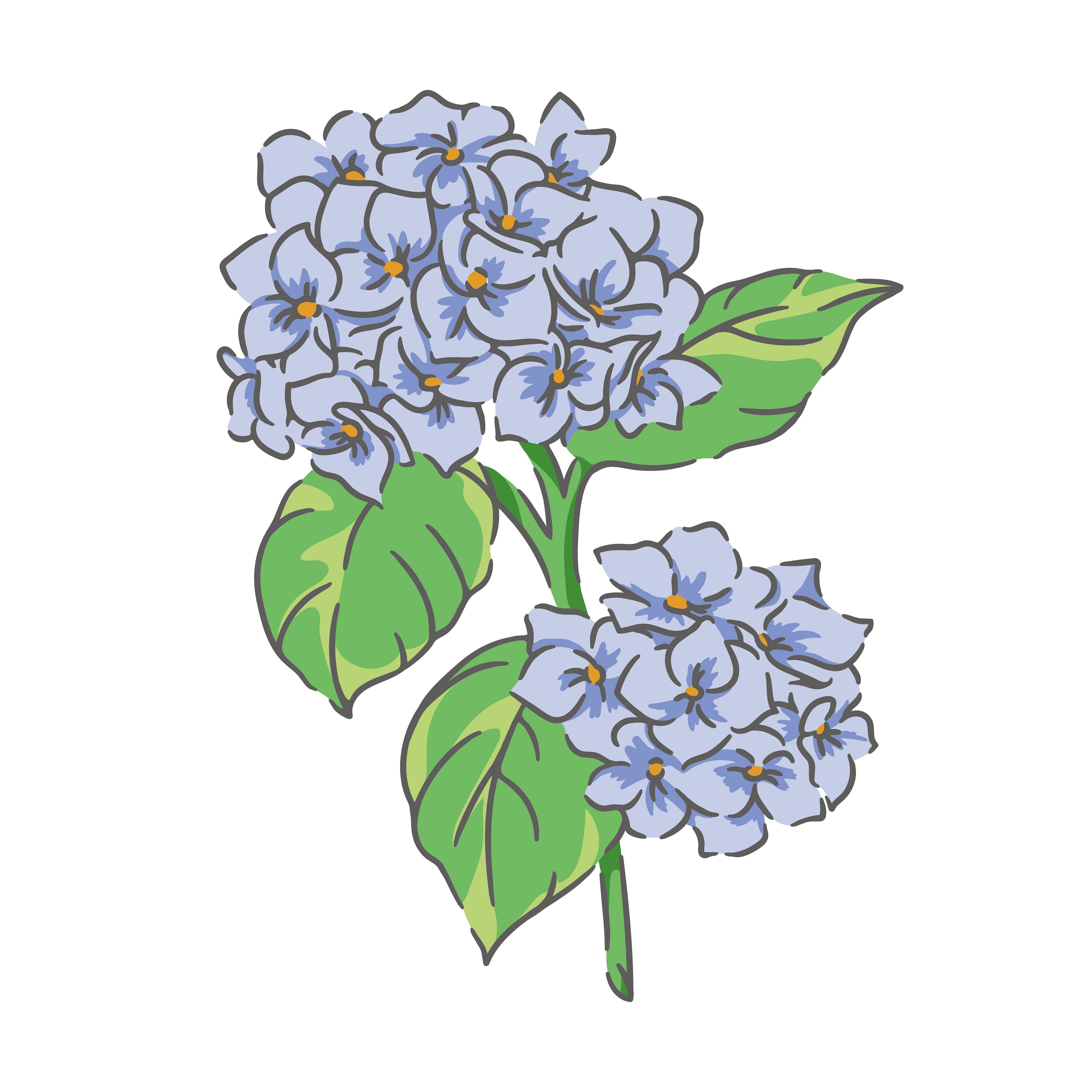 Hydrangeas Layering Stencils by Recollections&#x2122;
