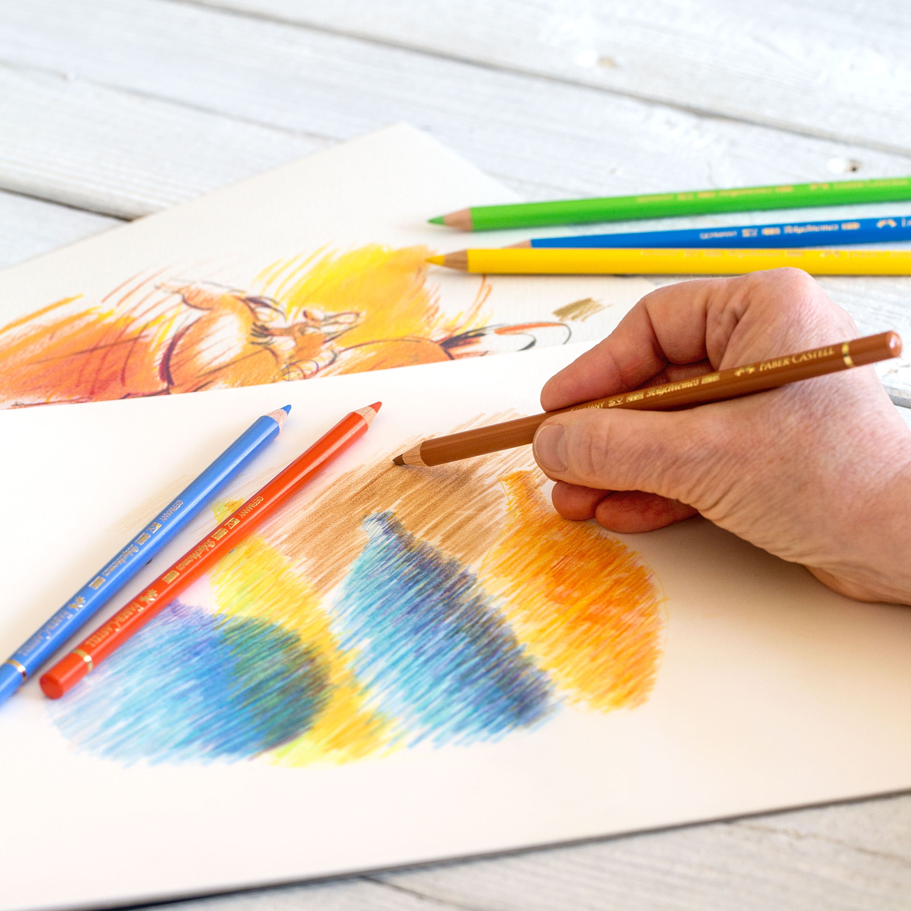 Faber-Castell Polychromos 24 Color Pencil Set