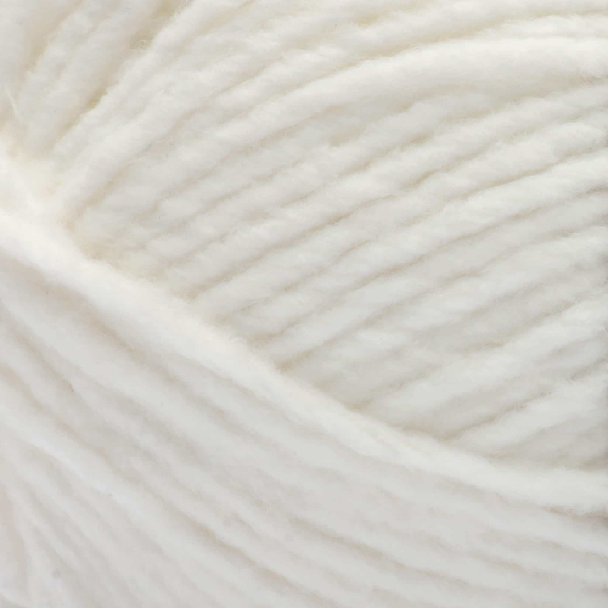 Bernat&#xAE; Forever Fleece&#x2122; Yarn