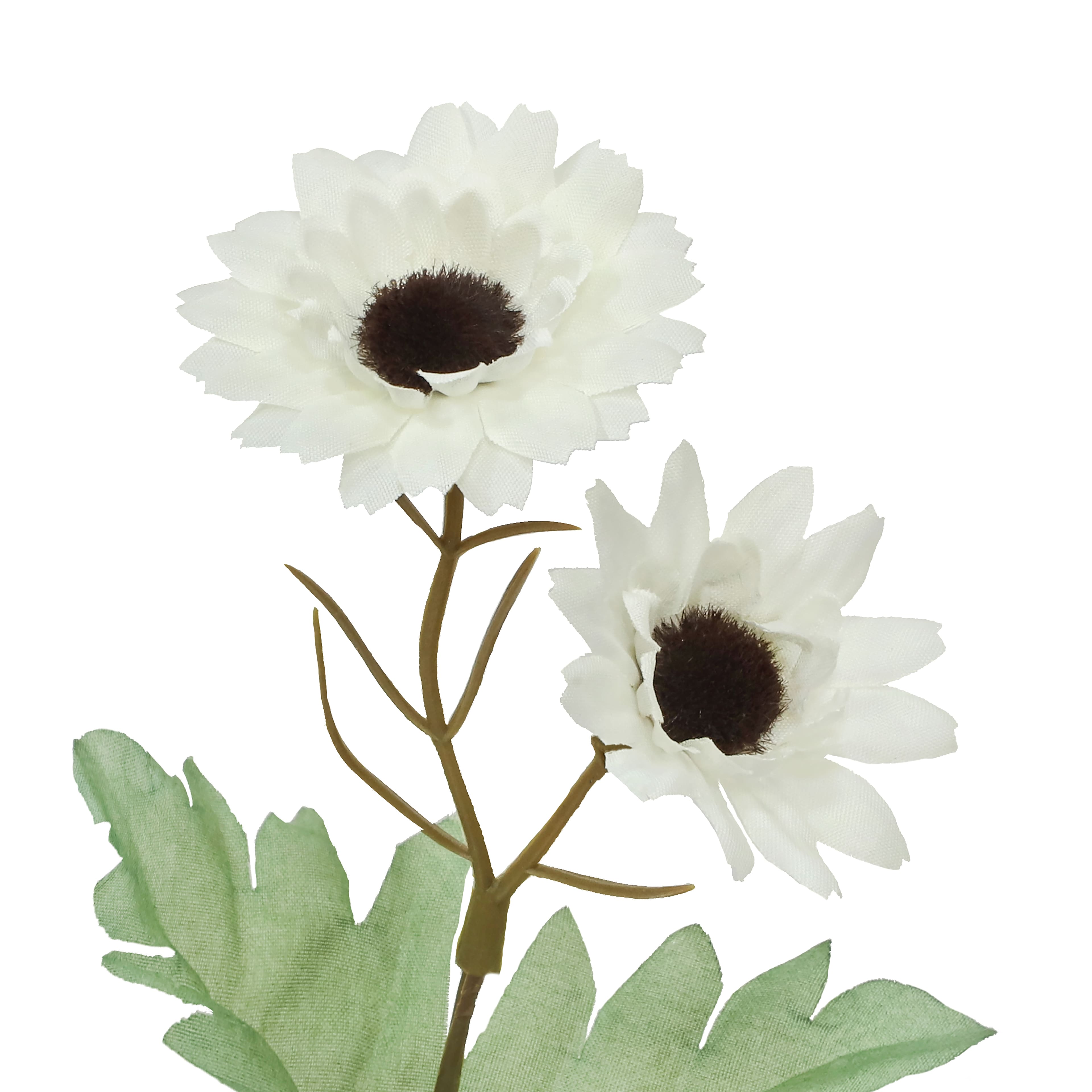 13.5" White & Cream Daisy Bush by Ashland®