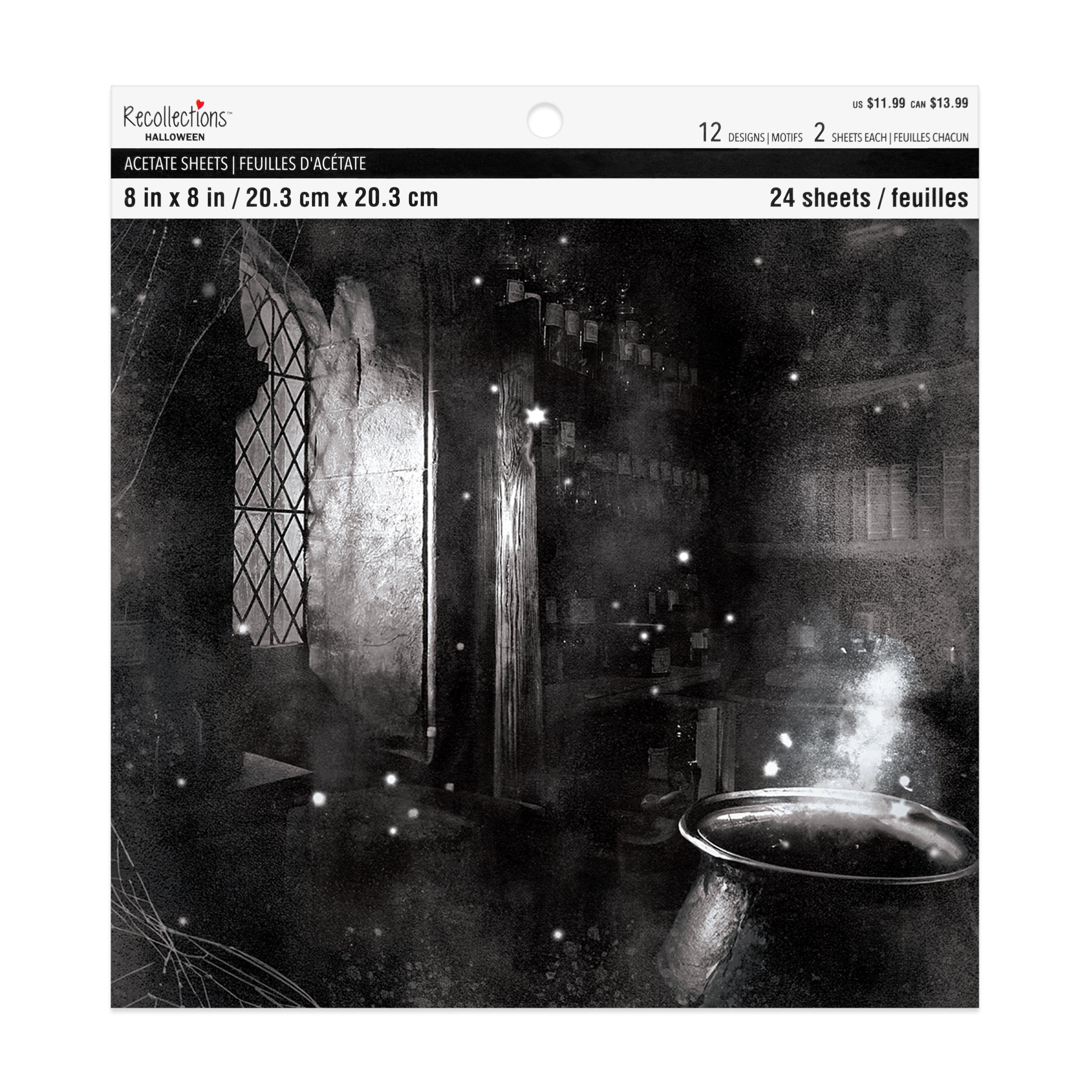 8" x 8" X-Ray Acetate Sheet Pad by Recollections™