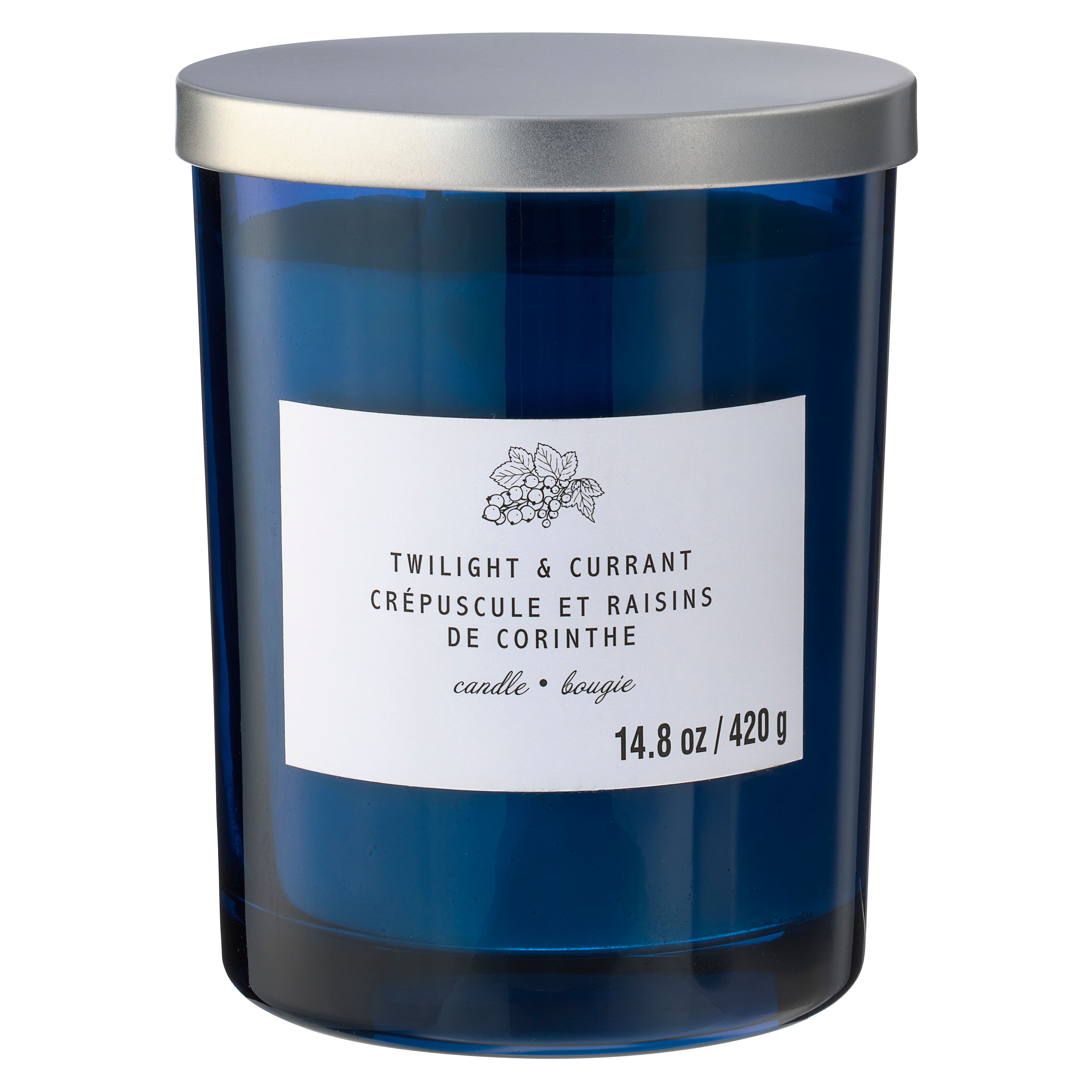 Twilight &#x26; Currant 2-Wick Jar Candle by Ashland&#xAE;