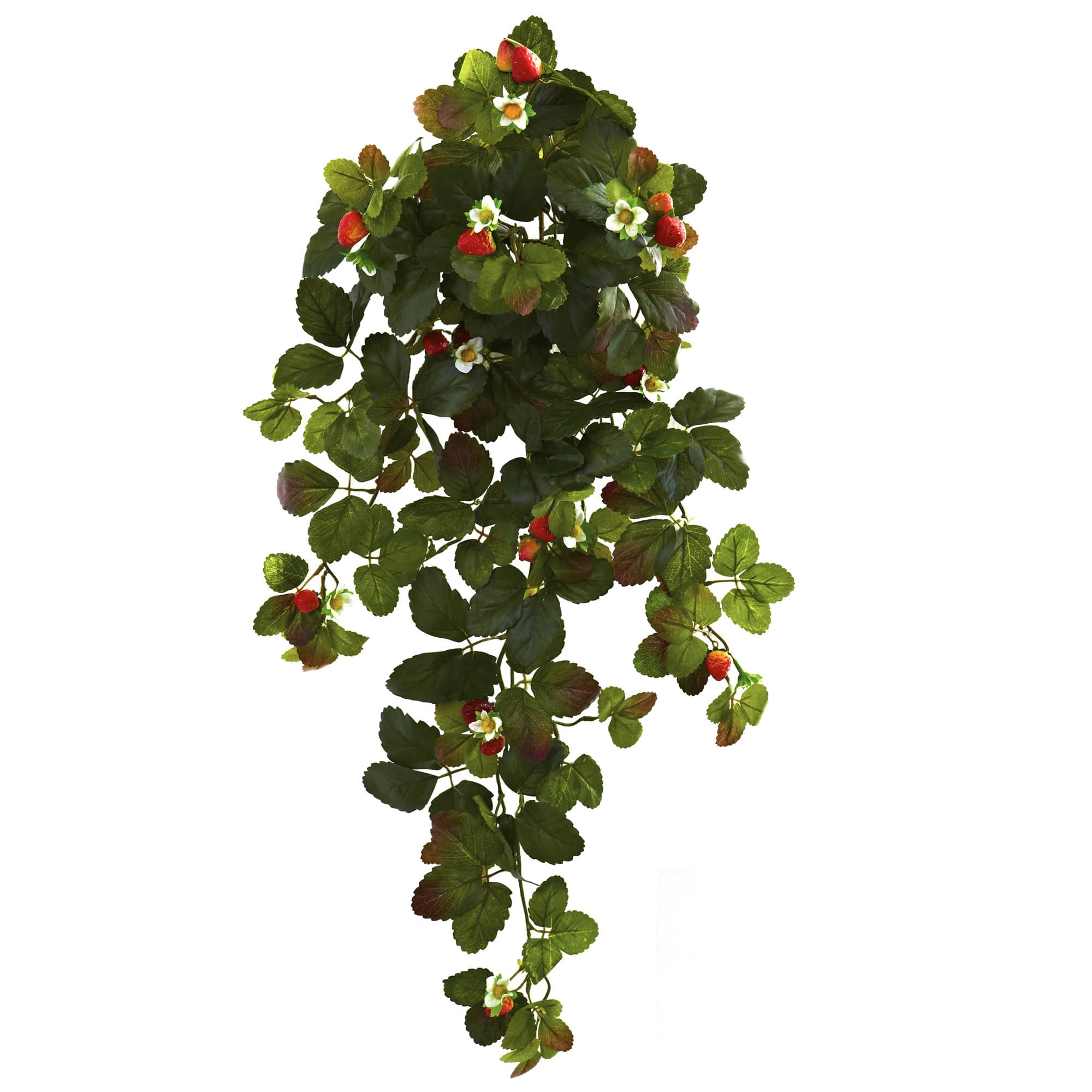 31&#x201D; Strawberry Hanging Bush, 2ct.