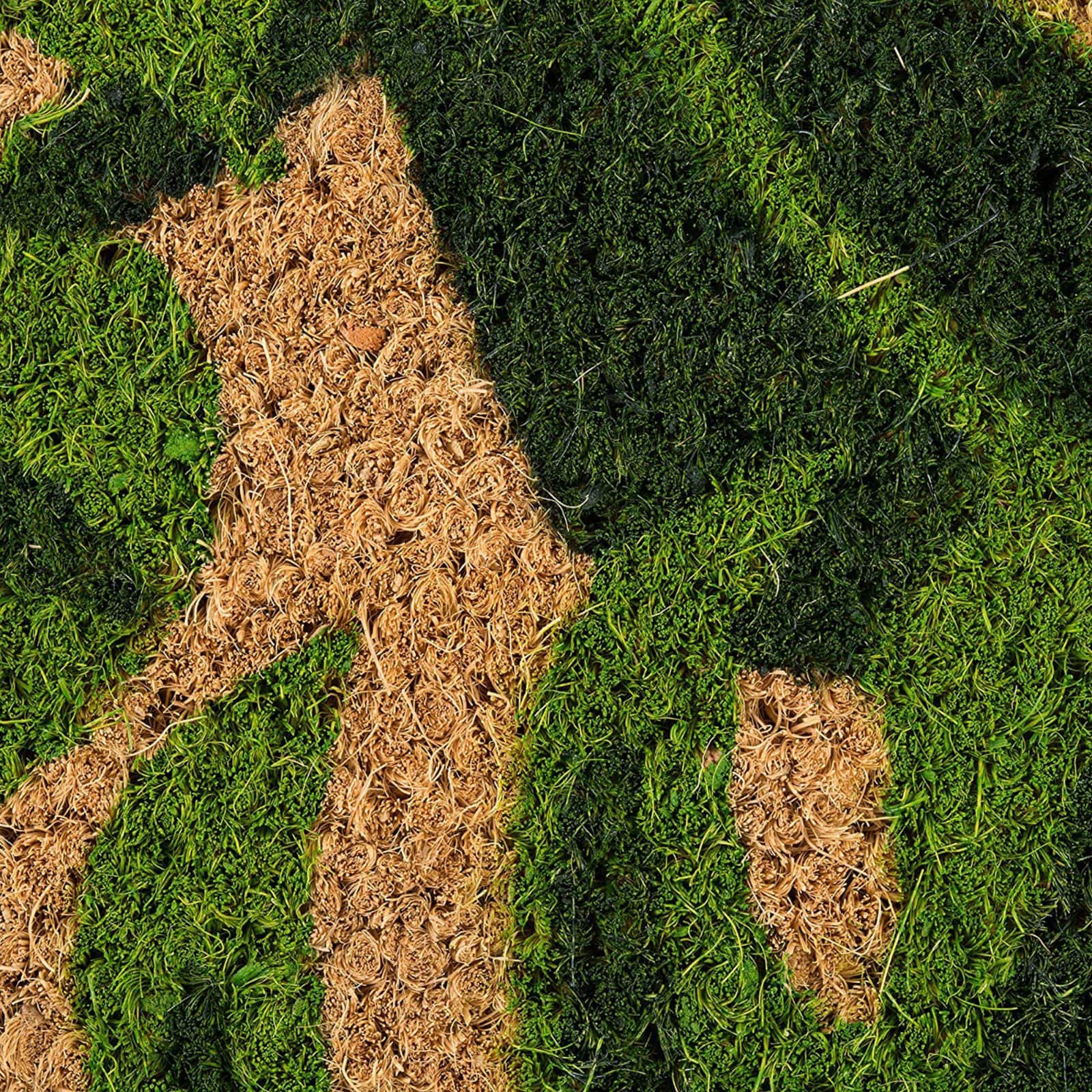DII&#xAE; J&#x26;M Palm Leaves Vinyl Back Coir Doormat