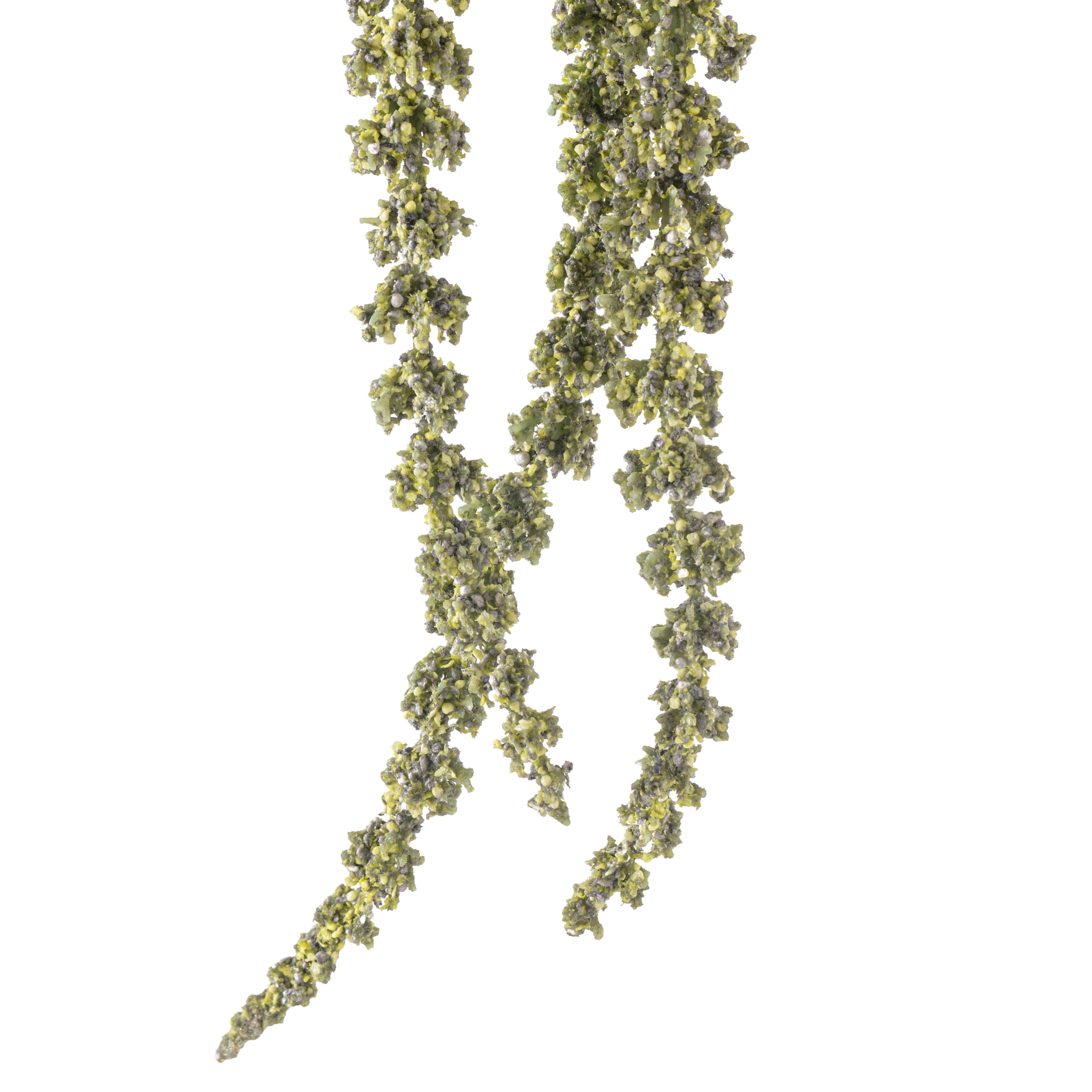 Green Amaranthus Stem by Ashland&#xAE;