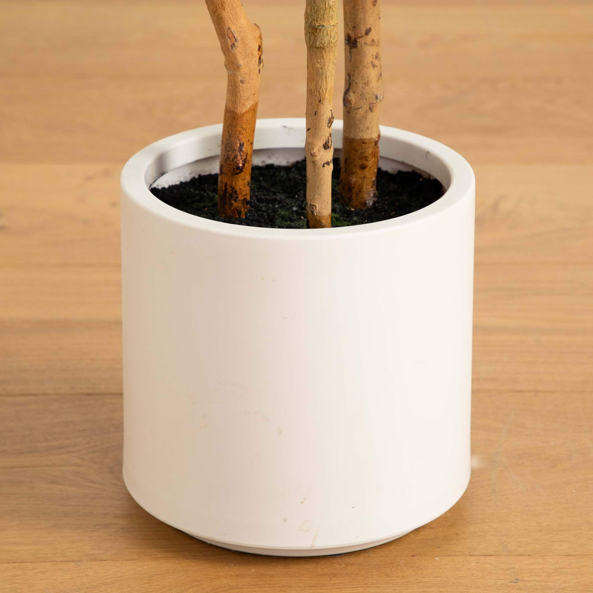 4ft. Fiddle Leaf Tree in Decorative White Planter