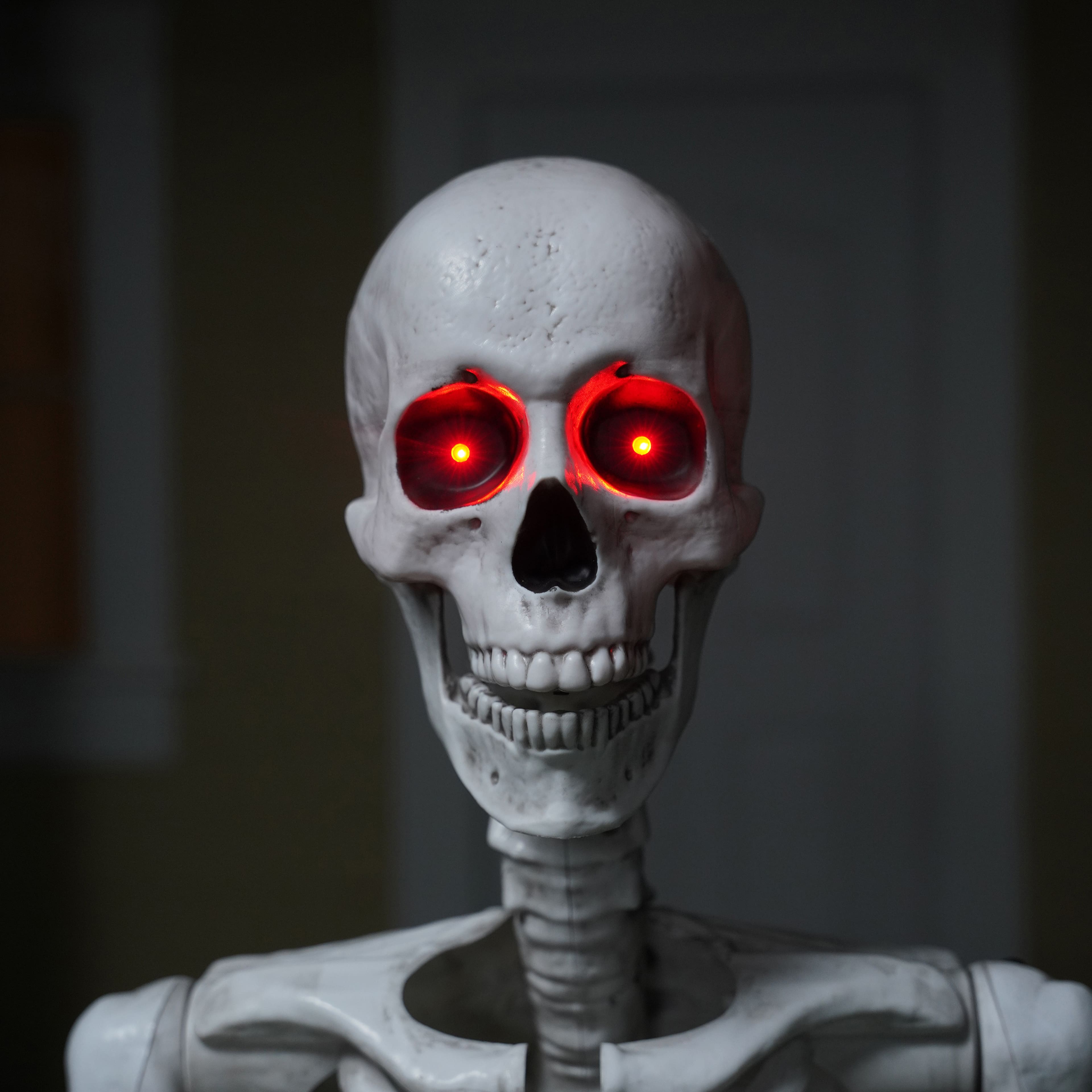 5ft. Skeleton with Red Light-Up Eyes by Ashland®