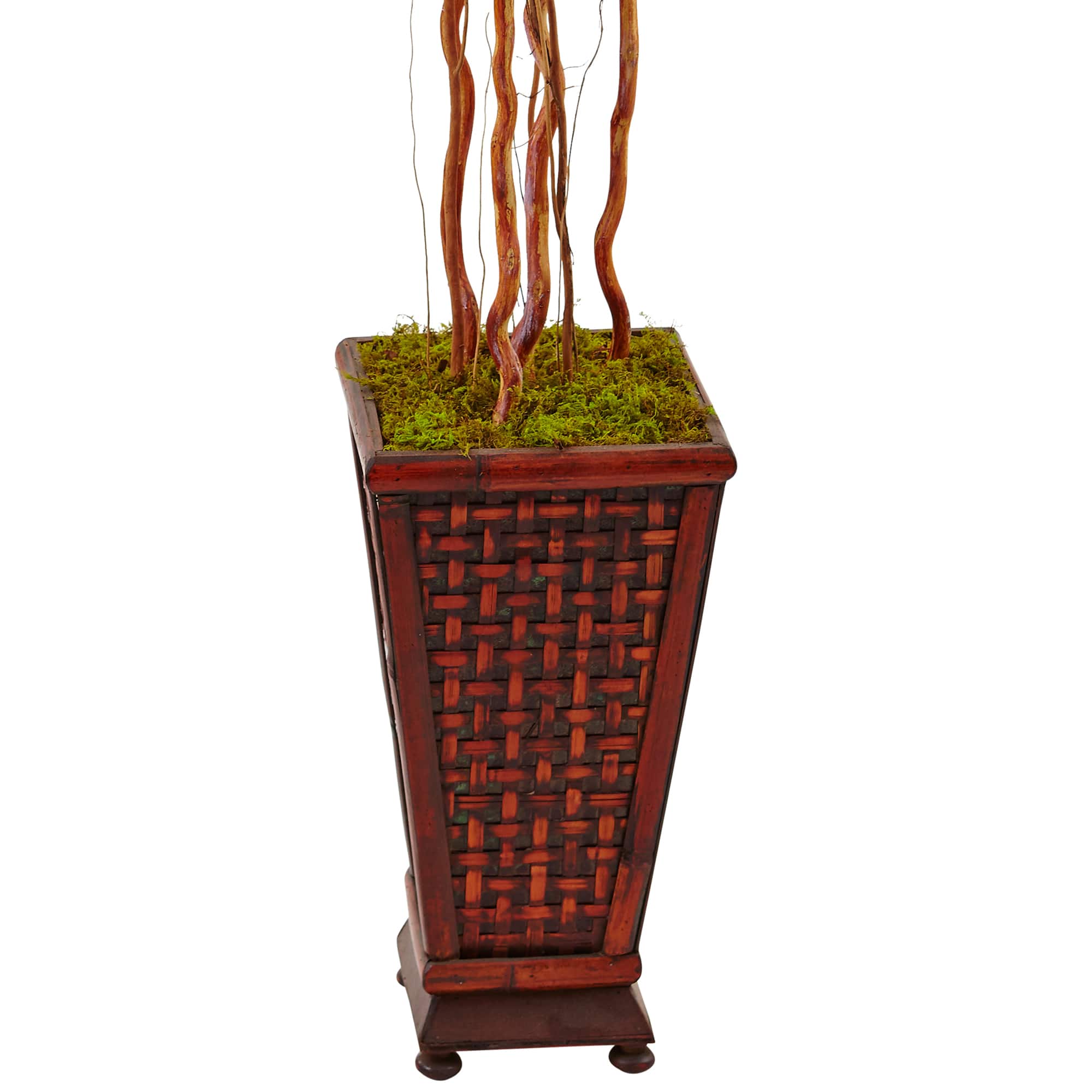 5ft. Red Hibiscus Tree in Decorative Wooden Planter