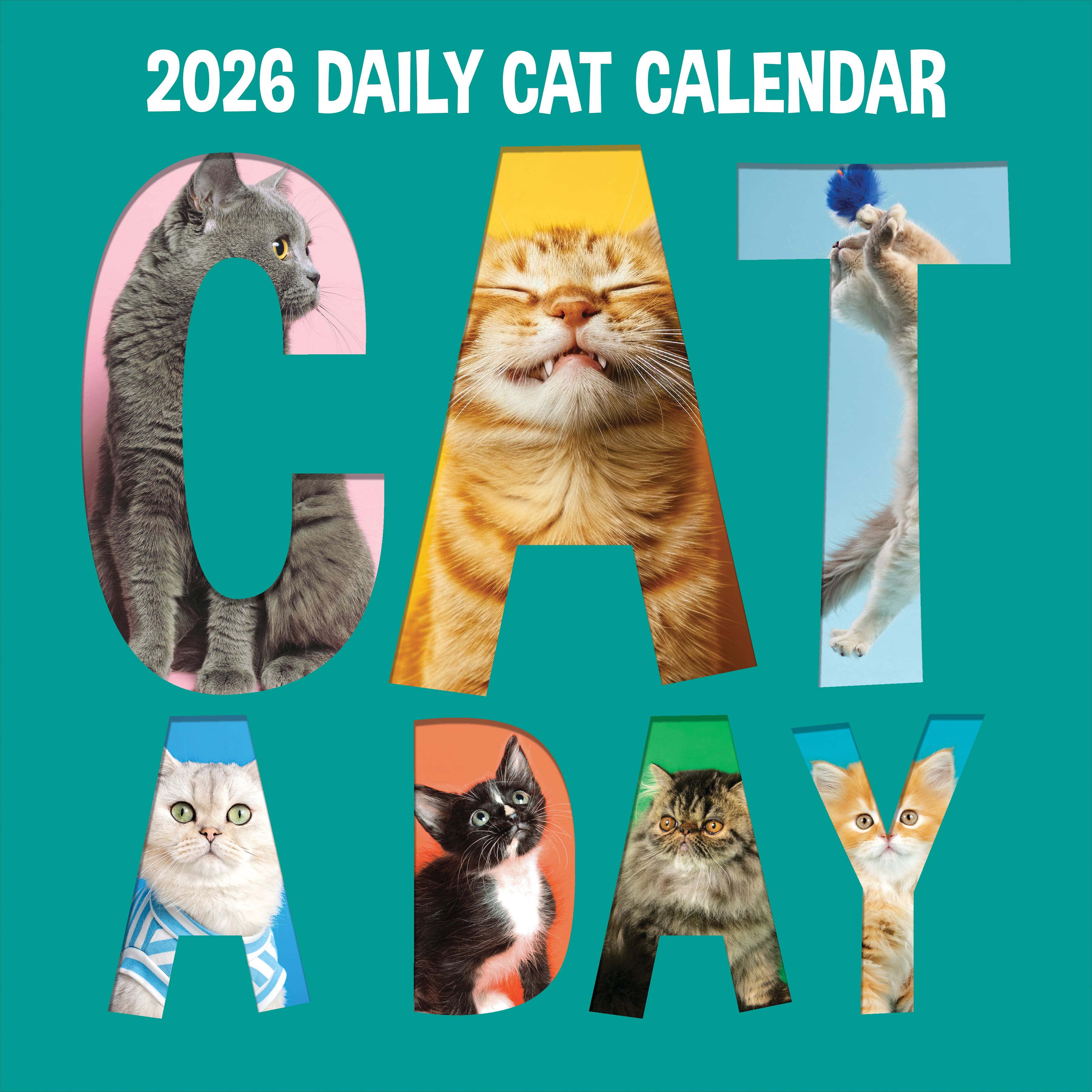 2026 Cat-A-Day Wall Calendar